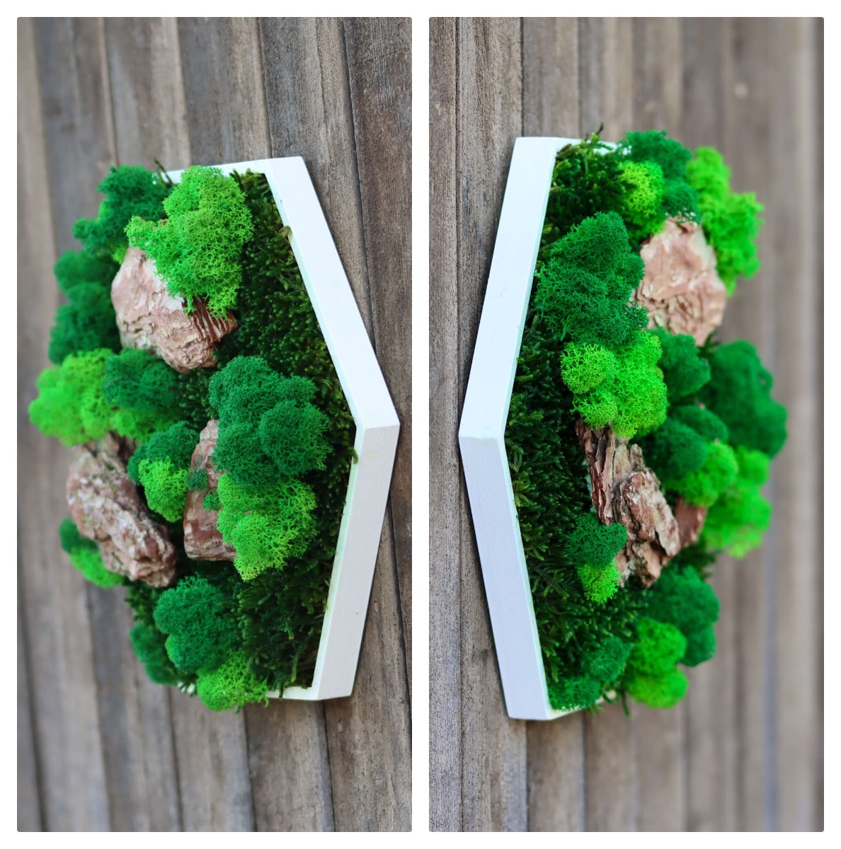 Geschenk Rahmen Hexagon Wabe Bienenwabe Waben modern Sechseck moos Moosbild Hellgrün Grün Natur Moobilder Mooswand Pflanzen Pflanzenbild Flachmoos Waldmoos Muttertag Geburtstag Wohnung Wand Deko Dekoration Islandmoos Rentiermoos Holz Holzstücke Treibholz Holzstücke Deko Tanne Fichte Kiefer Teak