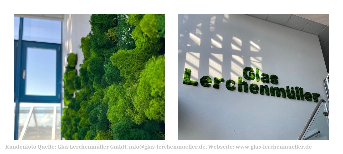 Moos Rentiermoos Schriftzug Schrift Buchstabe Buchstaben Leuchtgrün innen grün Wald Island Islandmoos Schriften ABC Home Deko Dekoration Wanddeko Wand Bild Moosbild Moosbilder