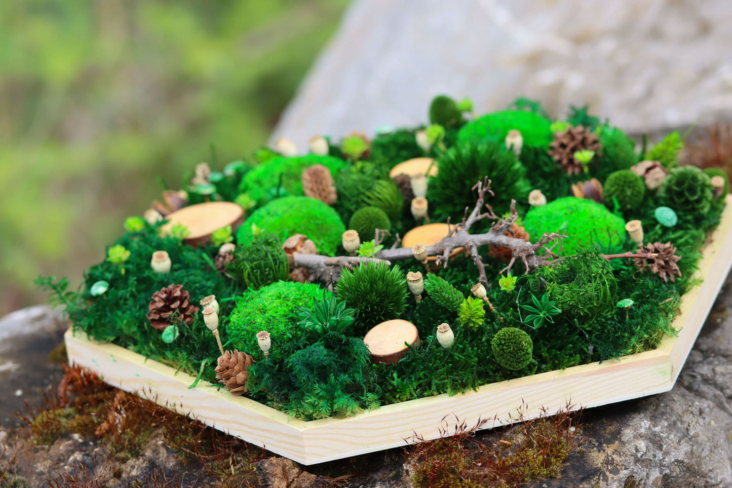 Moosbild "Leprechaun" Hexagon Sechseck