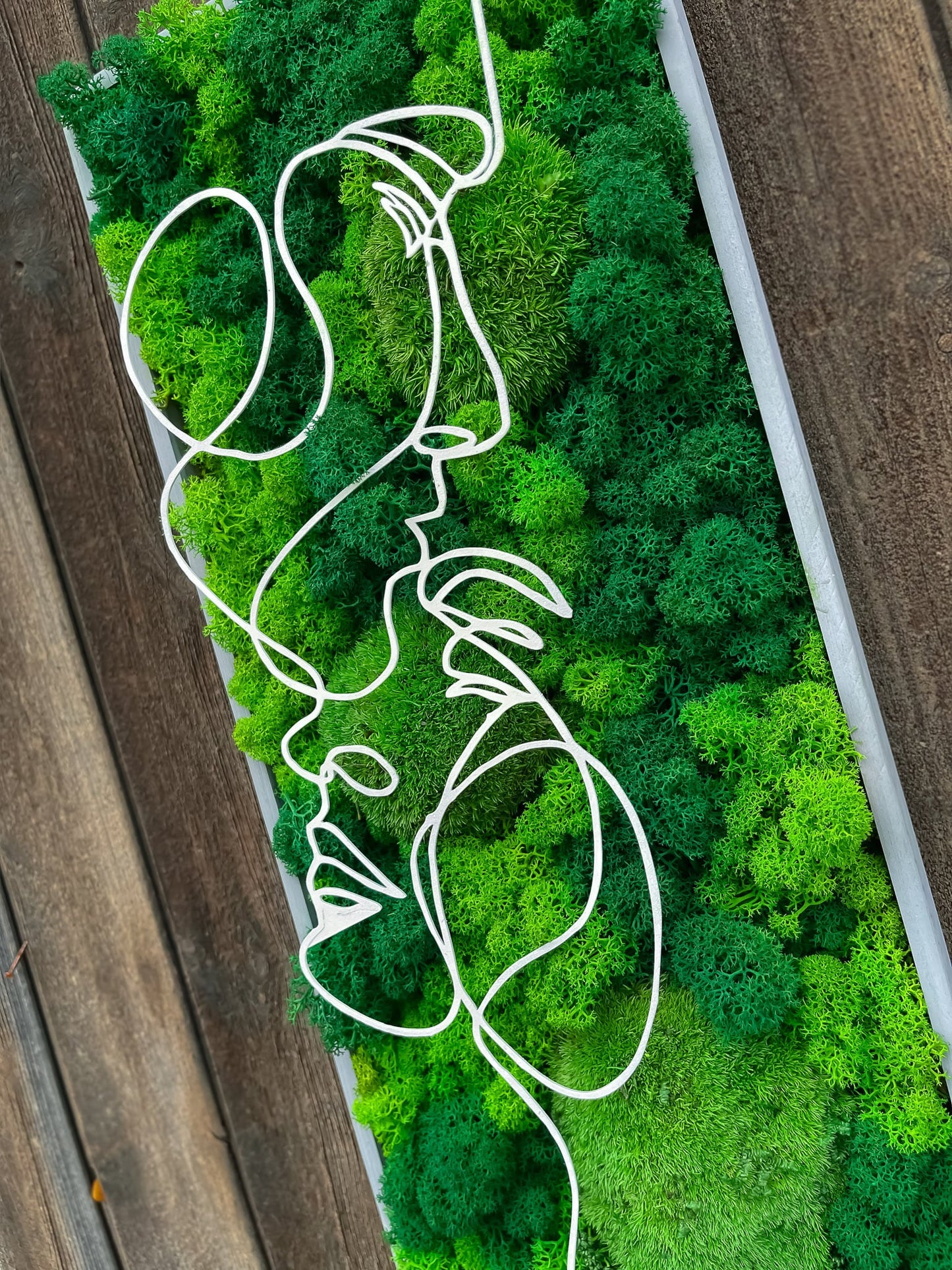 Rahmen Moos Moosbild Wand Wanddekoration Bild Gemälde Pflanzen Pflanzenbild Wandgarten Wandbehang Dekor Ornament moderne schwarze Silhouette Metall Anhänger Unikat einzigartig