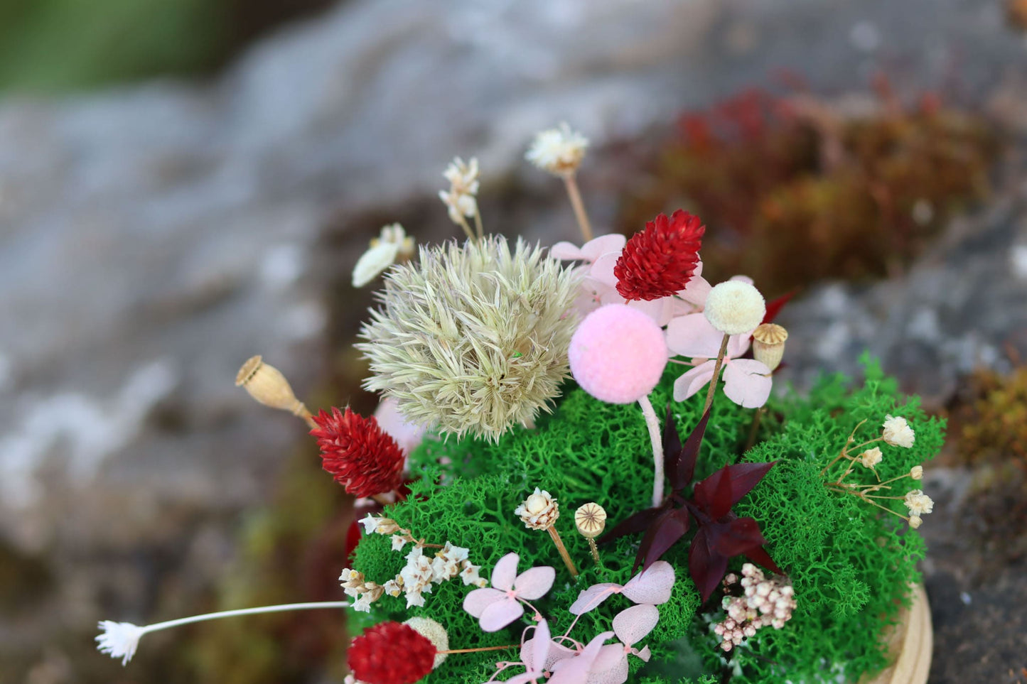 Geschenk Rahmen modern moos Pflanzen Pflanzenbild Muttertag Geburtstag Wohnung Wand Deko Dekoration Islandmoos Rentiermoos Mohn Glasglocke Kuppel Glaskuppel Blume Blumen Trockenblumen Wald Gedankenwunder Natur