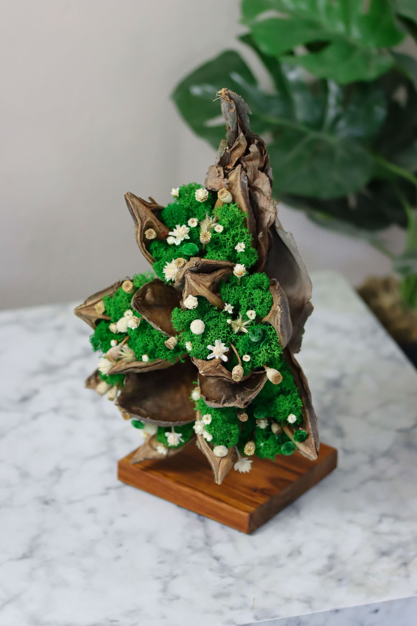 Strelitzie Fruchtstamm Deko Dekoration Einrichtung einrichten Haus Wohnung Praxis Zahnarzt Boutique Einzelhandel Friseur Laden Ladenzeile Home Office Büro Schlafzimmer Statue Figur Moosdeko Moosdekoration Moosbild Islandmoos Holz Renntiermoos Iceland Moss handgefertigt Design Designer Figuren Blumen Blüten Hochzeit Trockenblumen konserviert Daisy Sideboard Regal Tischdekoration Tischdeko Teak Teakholz Sockel Diele Brett