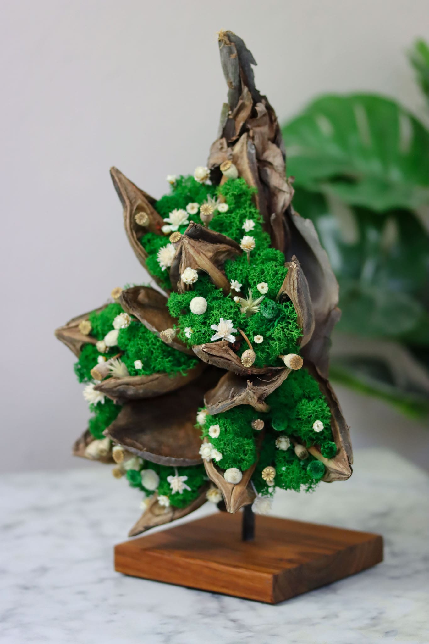 Strelitzie Fruchtstamm Deko Dekoration Einrichtung einrichten Haus Wohnung Praxis Zahnarzt Boutique Einzelhandel Friseur Laden Ladenzeile Home Office Büro Schlafzimmer Statue Figur Moosdeko Moosdekoration Moosbild Islandmoos Holz Renntiermoos Iceland Moss handgefertigt Design Designer Figuren Blumen Blüten Hochzeit Trockenblumen konserviert Daisy Sideboard Regal Tischdekoration Tischdeko Waldzauber wunderschön Teak