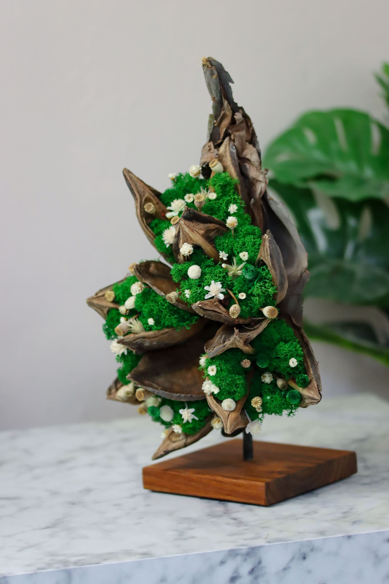 Strelitzie Fruchtstamm Deko Dekoration Einrichtung einrichten Haus Wohnung Praxis Zahnarzt Boutique Einzelhandel Friseur Laden Ladenzeile Home Office Büro Schlafzimmer Statue Figur Moosdeko Moosdekoration Moosbild Islandmoos Holz Renntiermoos Iceland Moss handgefertigt Design Designer Figuren Blumen Blüten Hochzeit Trockenblumen konserviert Daisy Sideboard Regal Tischdekoration Tischdeko Hingucker Blickfang Walddeko Diy