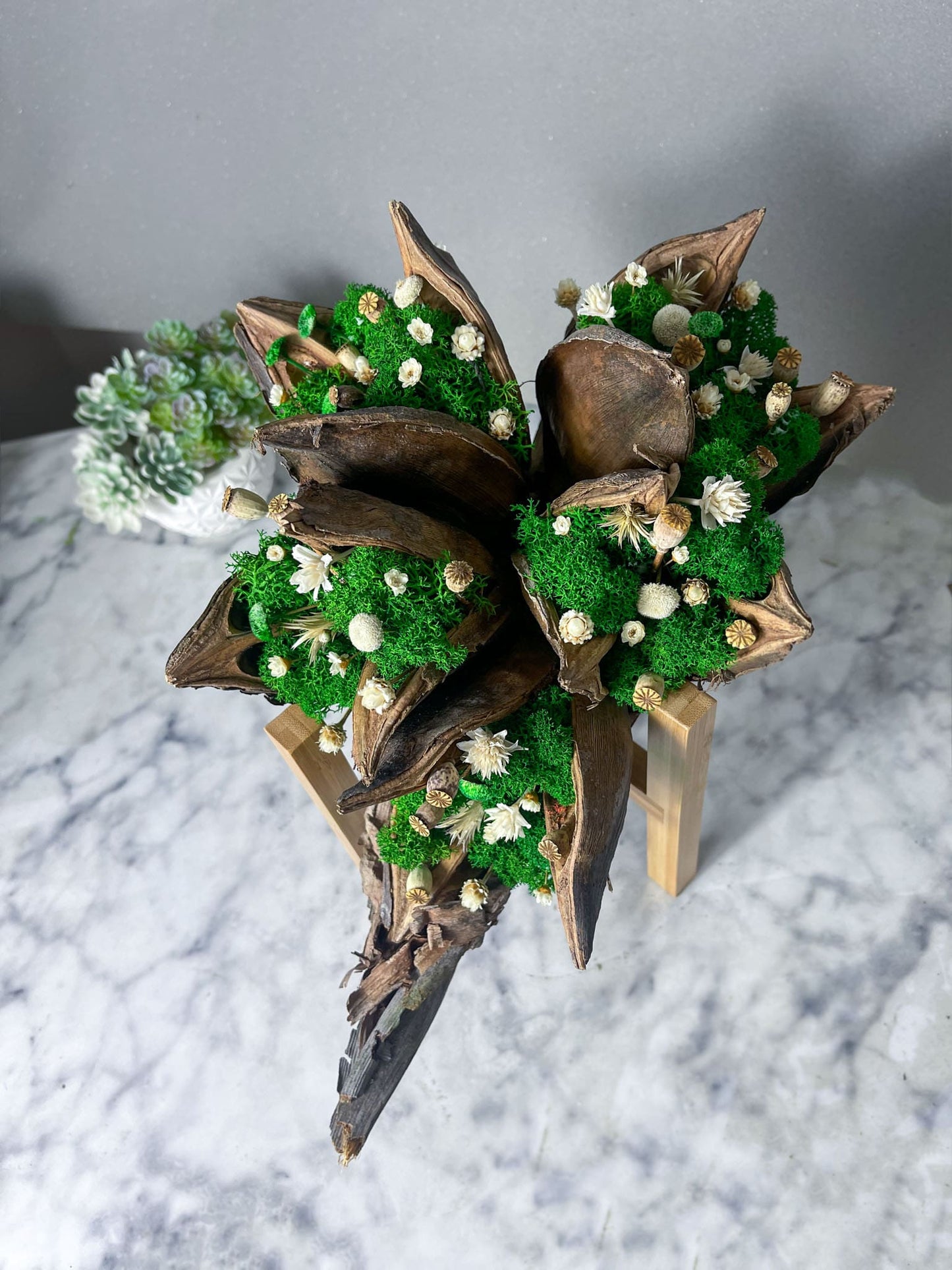 Strelitzie Fruchtstamm Deko Dekoration Einrichtung einrichten Haus Wohnung Büro Schlafzimmer Statue Figur Moosdeko Moosdekoration Moosbild Islandmoos Holz Renntiermoos Iceland Moss handgefertigt Design Designer Figuren Blumen Blüten Hochzeit Trockenblumen konserviert Daisy Sideboard Regal Tischdekoration Tischdeko Blumenständer, Bambus Pflanzenständer Blumenregal Blumentopfständer Topfgestell