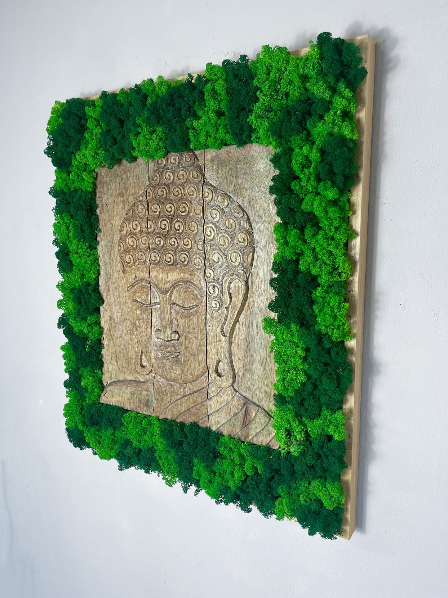 Geschenk Rahmen modern moos Moosbild Hellgrün Grün Natur Moosbilder Mooswand Pflanzen Pflanzenbild Flachmoos Waldmoos Muttertag Geburtstag Wohnung Wand Deko Dekoration Islandmoos Rentiermoos Buddha Zen Garten Buddhismus Lehre Holz Paneele Paneel schlafend Yoga Büro