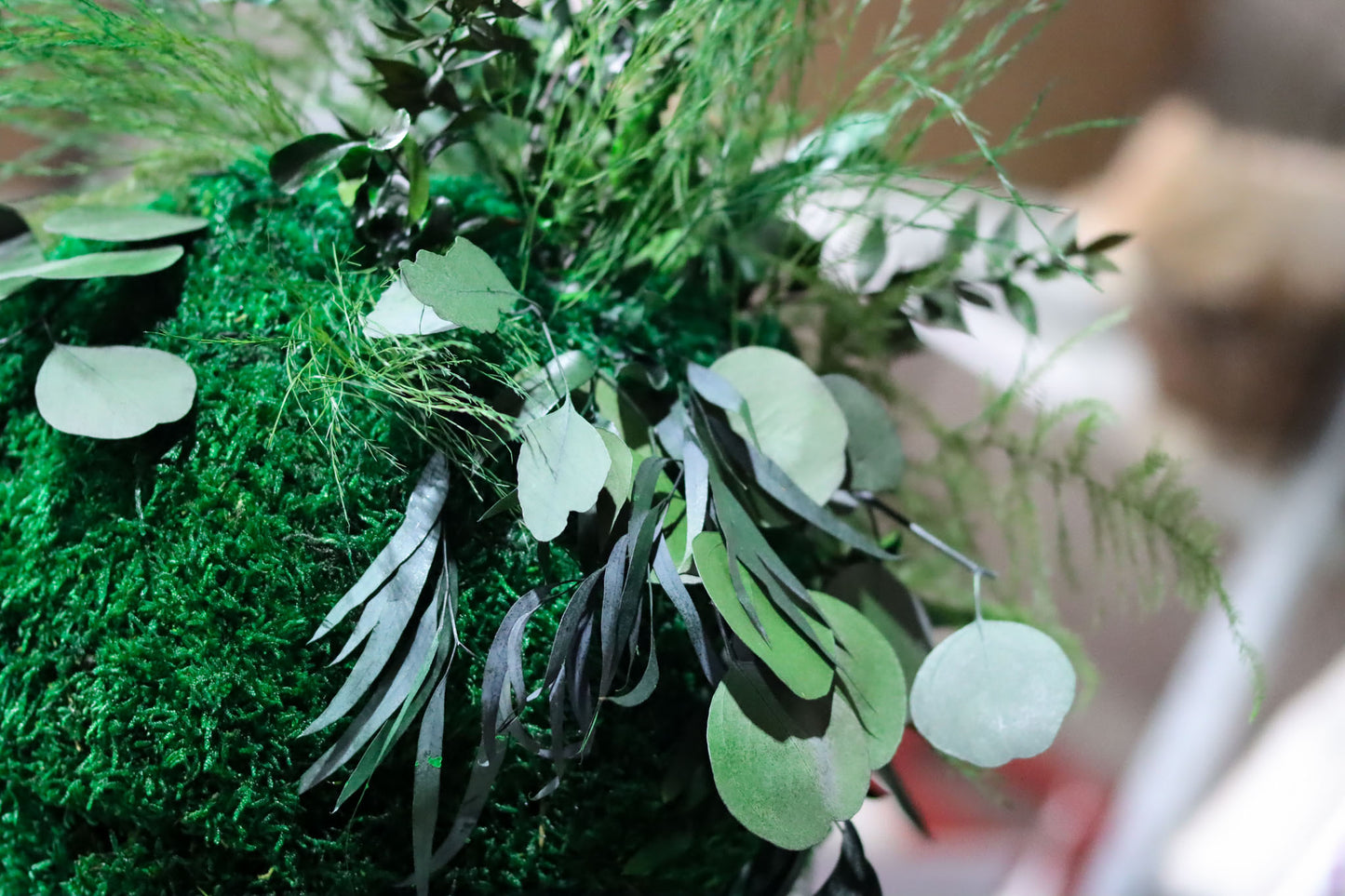 Geschenk modern moos Moosbild Hellgrün Grün Natur Bollenmoos Moobilder Mooswand Pflanzen Pflanzenbild Flachmoos Waldmoos Muttertag Geburtstag Wohnung Kokedama Japan japanisch Pflanzenball Moosball Mooskugel Mosskugel Kugel Ball Pflanzenkugel Luftpflanze Luftpflanzen Pflanze Blätter Blatt konserviert asiatisch Farnblatt Luftfarn Geschäft Home Office Schlafzimmer Wohnzimmer Galerie Gallery