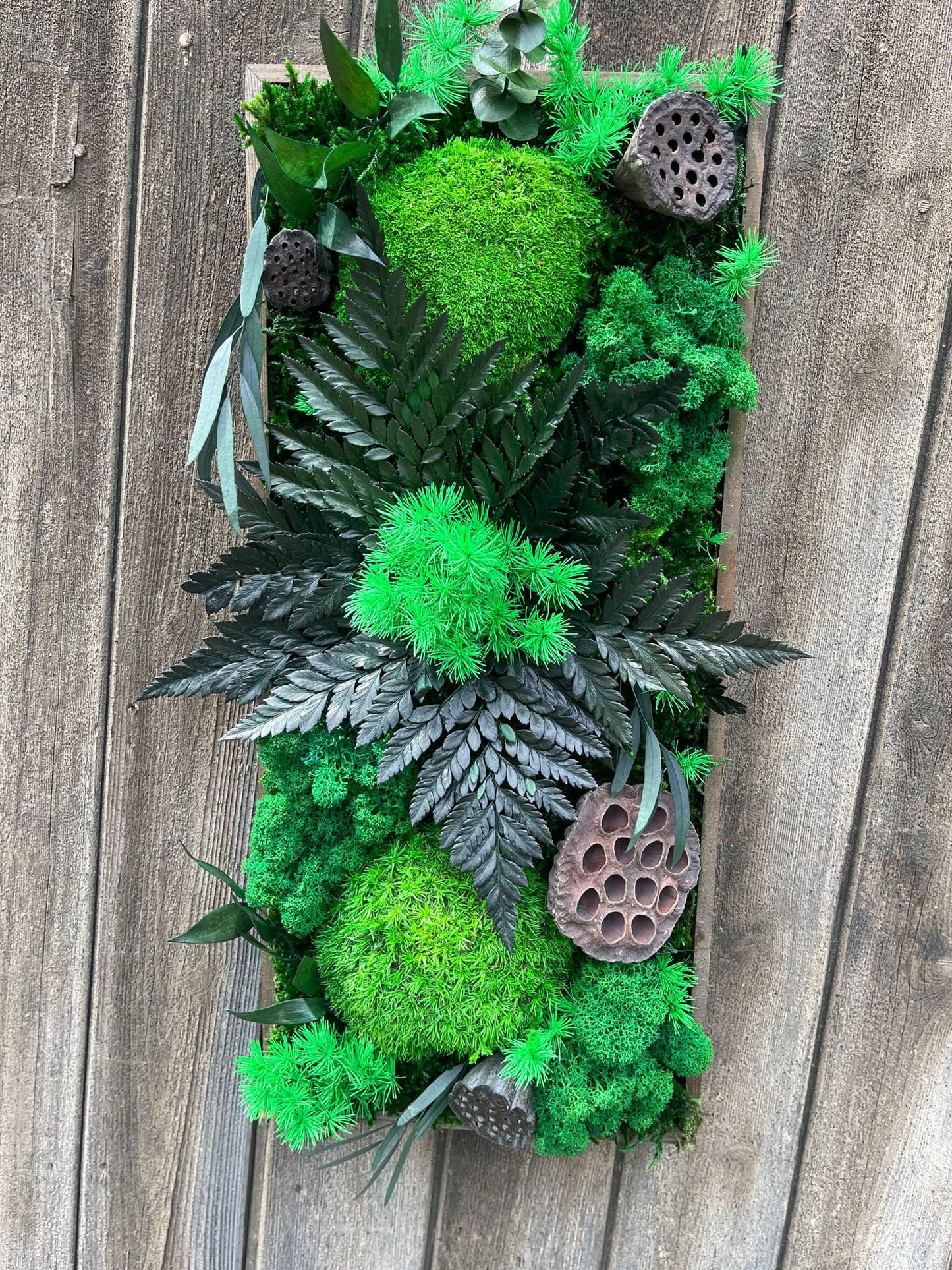Geschenk Rahmen modern moos Moosbild Hellgrün Grün Natur Moosbilder Mooswand Pflanzen Pflanzenbild Flachmoos Waldmoos Muttertag Geburtstag Wohnung Wand Deko Dekoration Islandmoos Rentiermoos Tropenblume Gedankenwunder Manufaktur Farnblatt Farn