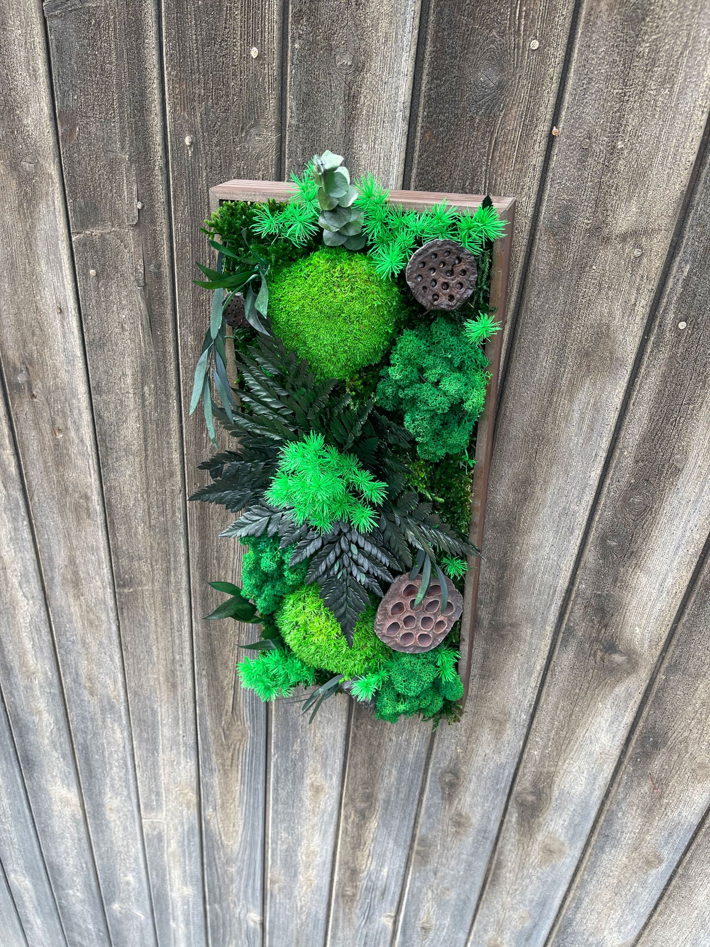 Geschenk Rahmen modern moos Moosbild Hellgrün Grün Natur Moosbilder Mooswand Pflanzen Pflanzenbild Flachmoos Waldmoos Muttertag Geburtstag Wohnung Wand Deko Dekoration Islandmoos Rentiermoos Praxis Büro Home Office Lotus Einzelhandel Laden Einrichtung