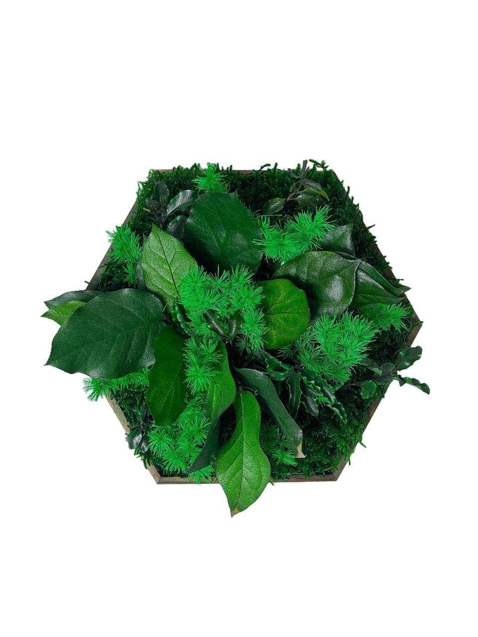 Geschenk Rahmen modern moos Moosbild Hellgrün Grün Natur Moosbilder Mooswand Pflanzen Pflanzenbild Flachmoos Waldmoos Muttertag Geburtstag Wohnung Wand Deko Dekoration Wabe Sechseck Hexagon Gedankenwunder