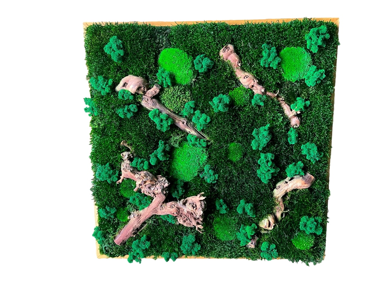 Geschenk Rahmen modern moos Moosbild Natur Moosbilder Mooswand Pflanzen Pflanzenbild Flachmoos Waldmoos Muttertag Geburtstag Home Office Wand Deko Dekoration Islandmoos Rentiermoos Ast Teak Treibholz innen grün Wald Innenraum Deko Dekoration Baum Leben Dekoast Äste Wurzelholz Wurzel Hügelmoos Manufaktur Kugelmoos Ball Kugel Bollenmoos