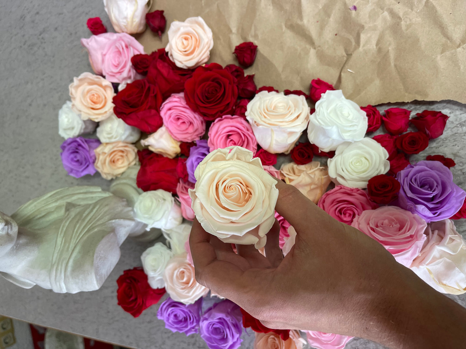 Echte Rosen Infinity ewige und unendliche Rosen in beige rot rosa lila in ein wunderschönes Bild eingefasst und verewigt