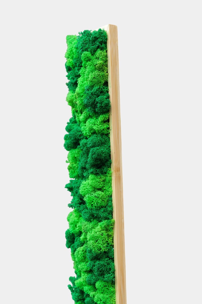 Geschenk Rahmen modern moos Moosbild Hellgrün Grün Natur Moosbilder Mooswand Pflanzen Pflanzenbild Flachmoos Waldmoos Muttertag Geburtstag Wohnung Wand Deko Dekoration Islandmoos Rentiermoos Home Office Einrichtung Laden Ladenzeile Lang langes moosbild Rechteck Pflanzenwand Mooswand Design Praxis Zahnarzt Dekoration Home Office Büro Schlafzimmer Bad Badezimmer Jungle Dschungel einrichten Idee Diy