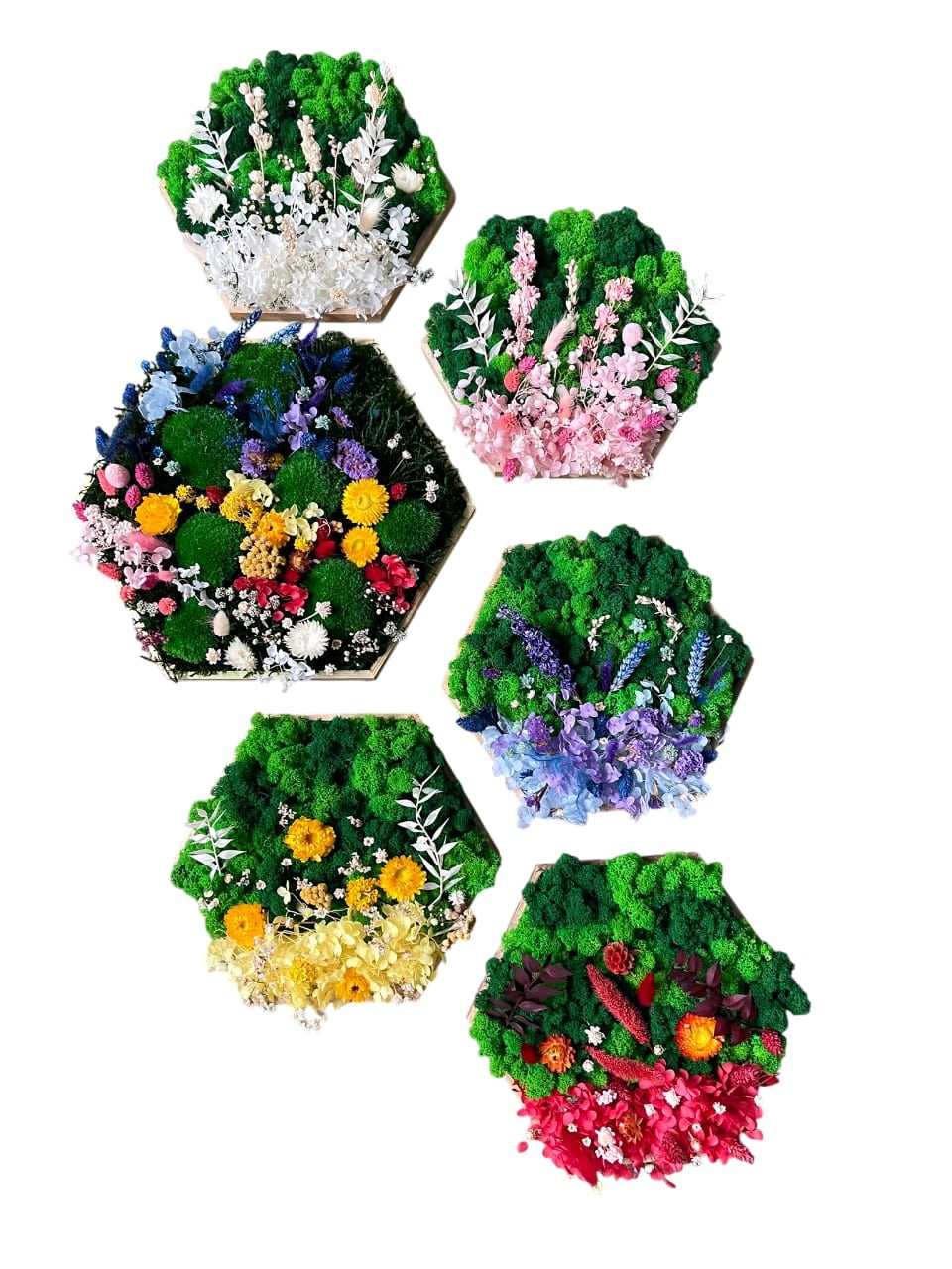 Hortensie Blume Blumenwald Blüte Blume Hexagon Wabe Waben Sechseck Trockenblumen Moosbild Bild Islandmoos Rentiermoos Handmade biophelic konserviert konservieren Pflanzenbild Raum Wohnung Deko Gedankenwunder