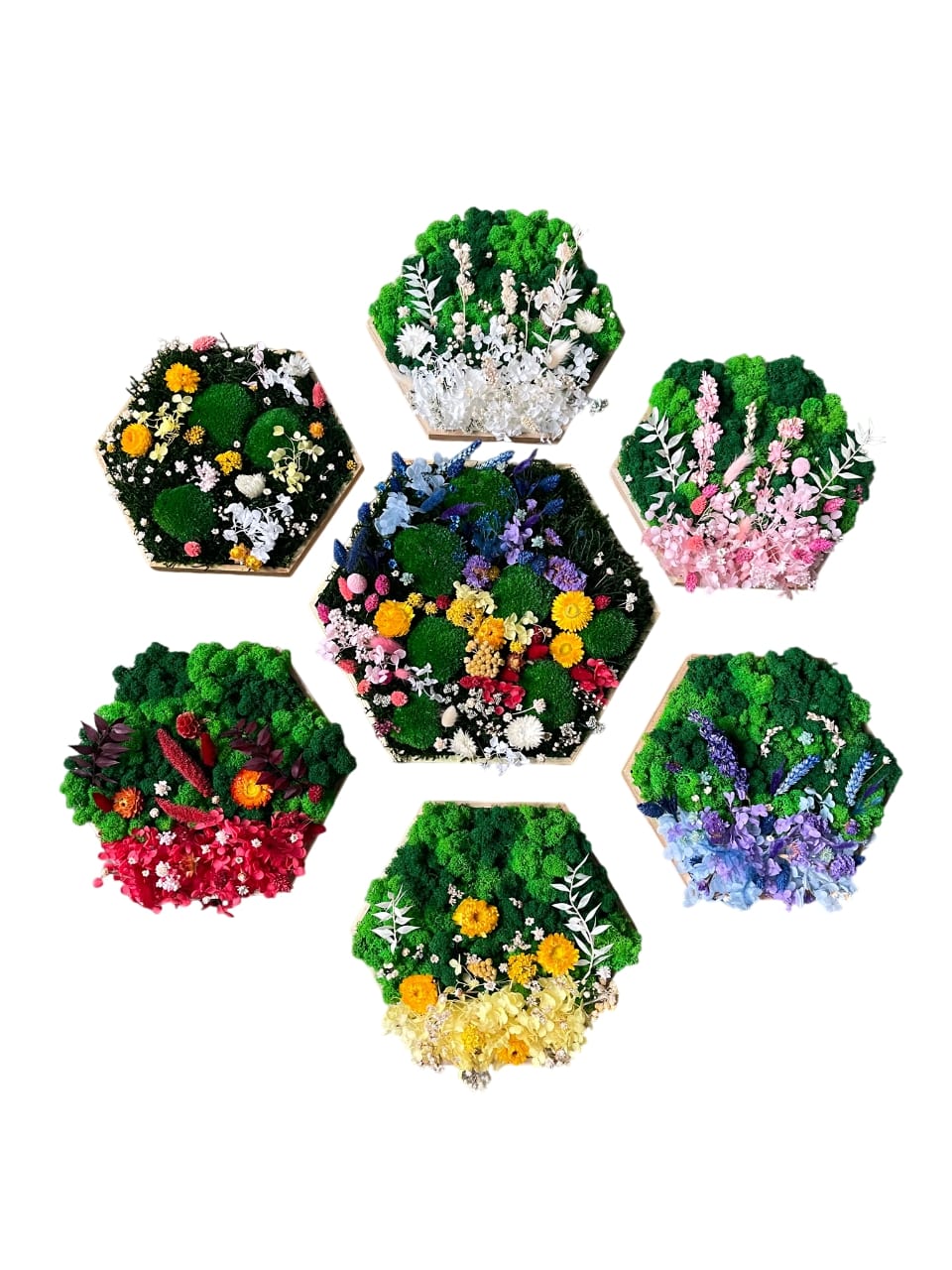 Hortensie Blume Blumenwald Blüte Blume Hexagon Wabe Waben Sechseck Trockenblumen Moosbild Bild Islandmoos Rentiermoos Handmade