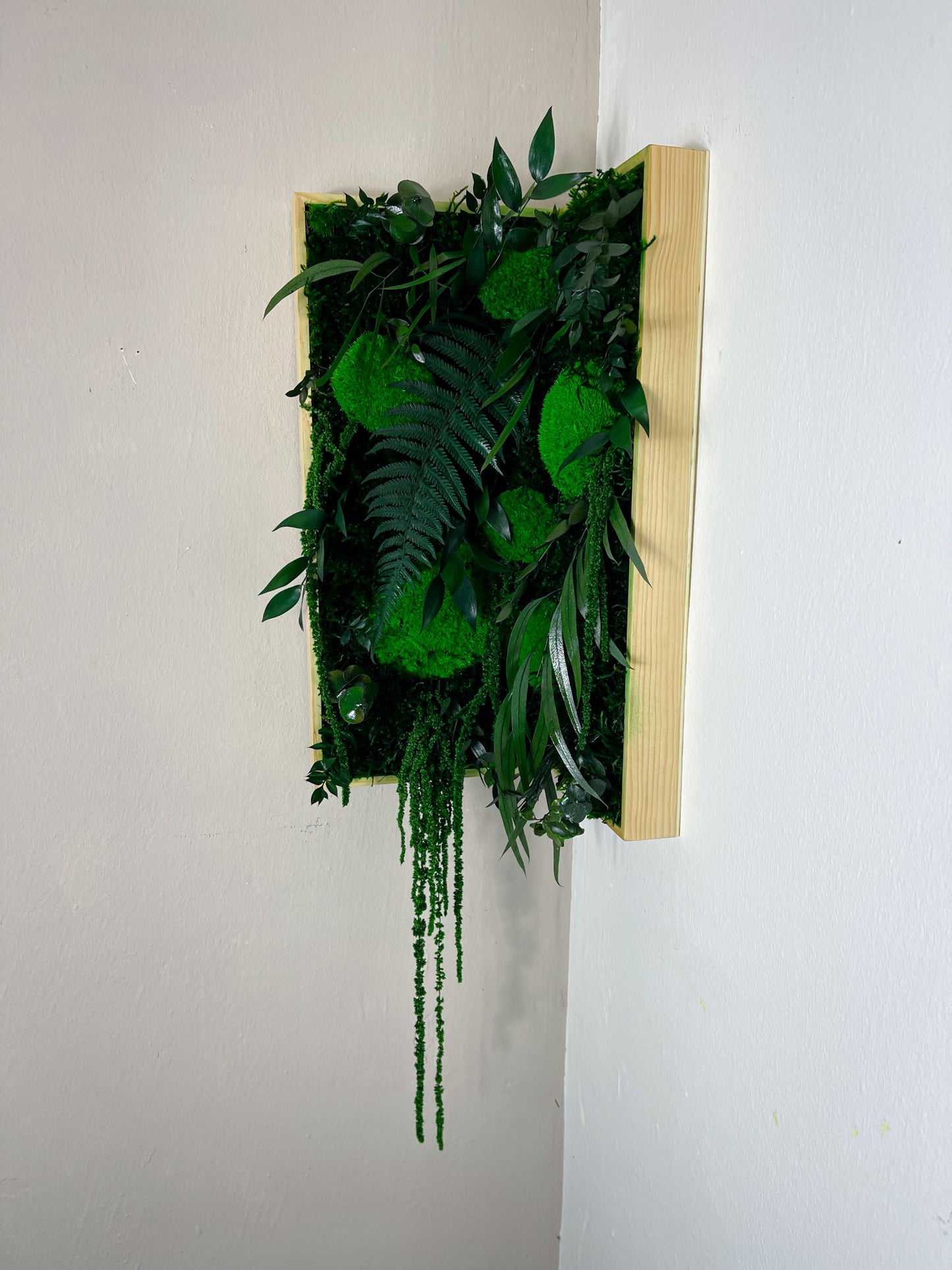 Ranke Hügel Berg Waldhügel Hügelmoos Eckbild Ecke Geschenk Rahmen modern moos Moosbild Hellgrün Natur Moosbilder Mooswand Pflanzen Pflanzenbild Flachmoos Wohnung Wand Dekoration Islandmoos Rentiermoos innen grün Wald Innenraum Deko home office