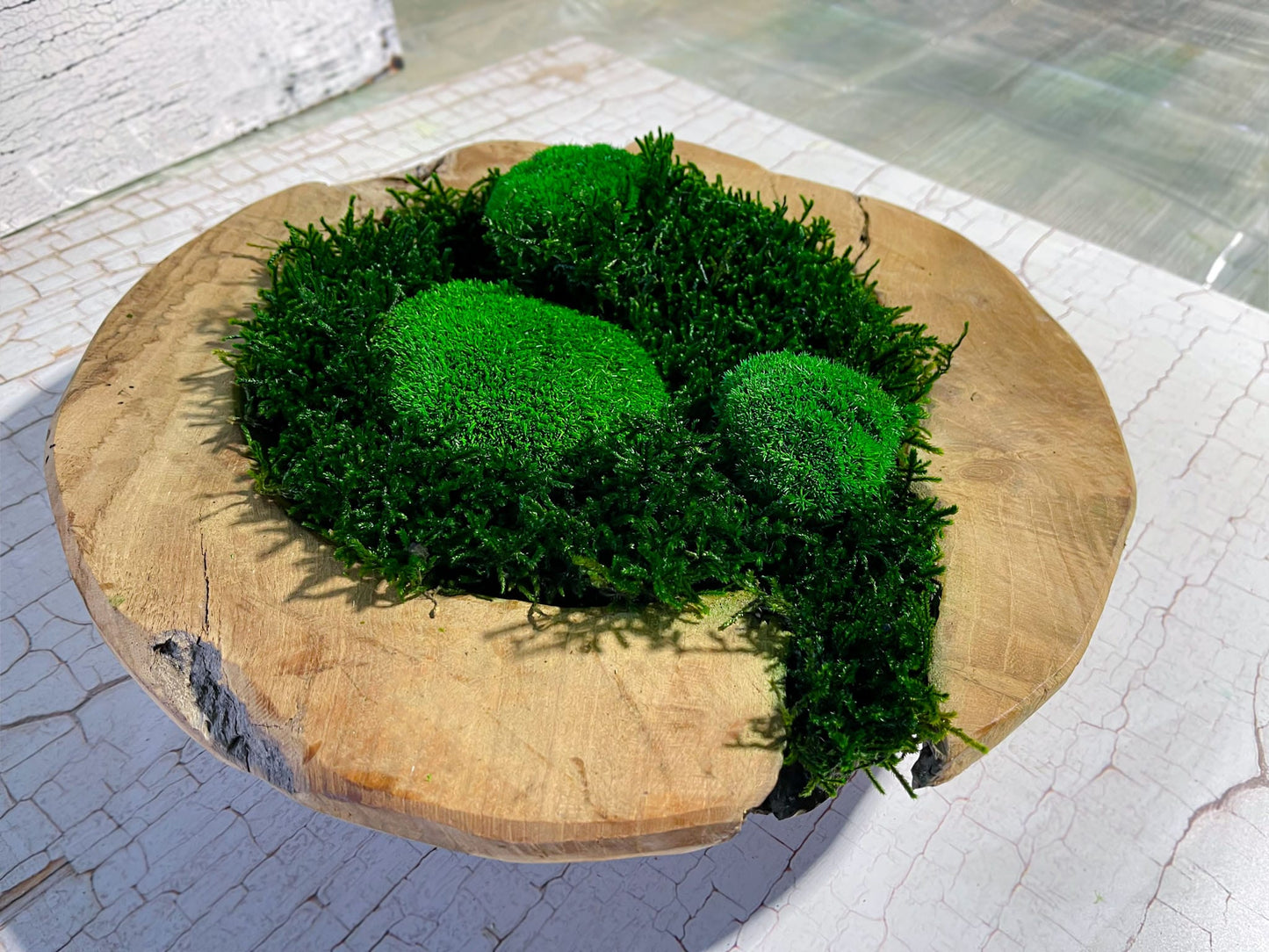 Geschenk Rahmen modern moos Moosbild Natur Moosbilder Wohnung Kim Moss Bowl Moos schale Moosschale Schalen Dekoschale Dekoration Beton rund Arrangement Tischdeko Pflanze Pflanzschale Pflanzenschale minimalistisch Rundschale Teakholz Teakholzschale Holz Rustikal Laden Ladeneinrichtung Home Office Resteraunt Büro Einrichtung einrichten Praxis Wartebereich Deko