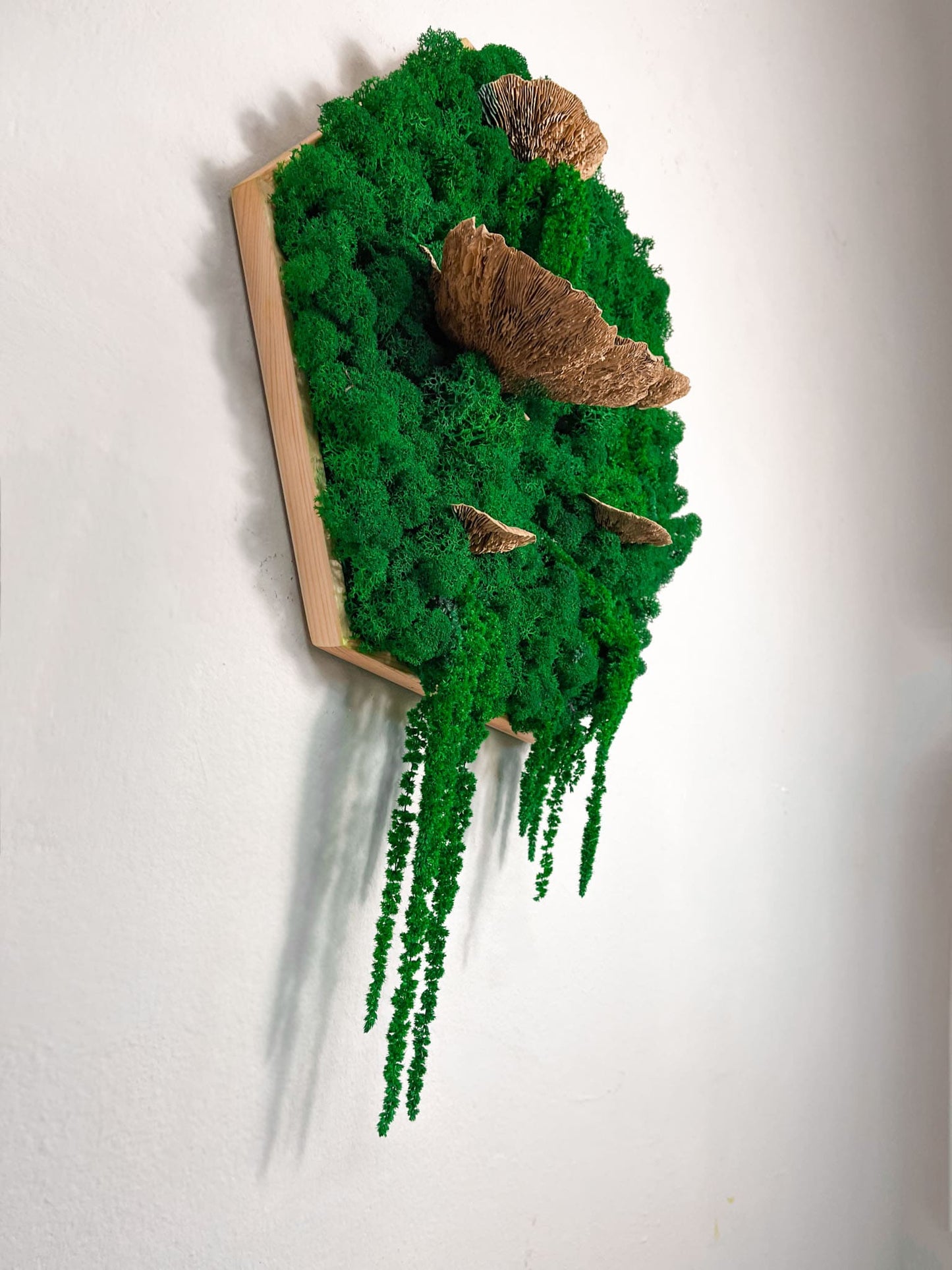 Geschenk Rahmen modern moos Moosbild Hellgrün Grün Natur Moobilder Mooswand Pflanzen Pflanzenbild Waldmoos Muttertag Geburtstag Wohnung Wand Deko Dekoration Islandmoos Rentiermoos innen grün Wald Innenraum Deko Dekoration Baum Baumschwamm Baumpilz Pilz Schwamm Wabe Hexagon Sechseck Inneneinrichtung Ideen modern