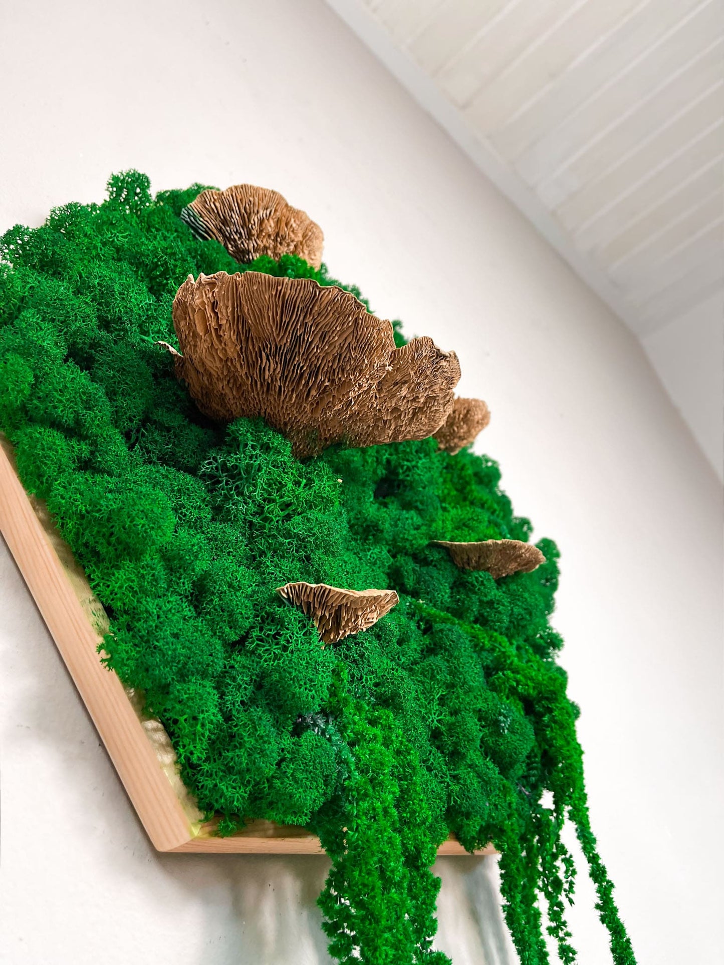 Geschenk Rahmen modern moos Moosbild Hellgrün Grün Natur Moobilder Mooswand Pflanzen Pflanzenbild Waldmoos Muttertag Geburtstag Wohnung Wand Deko Dekoration Islandmoos Rentiermoos innen grün Wald Innenraum Deko Dekoration Baum Baumschwamm Baumpilz Pilz Schwamm Wabe Hexagon Sechseck Ranke Ranken wohnen Inneinrichtung Design Designer Wandbild Leinwand
