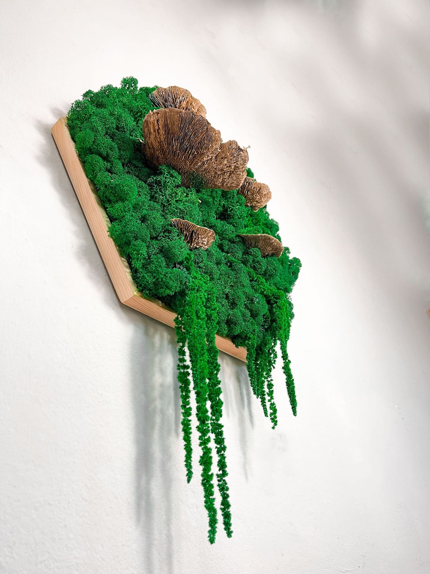Geschenk Rahmen modern moos Moosbild Hellgrün Grün Natur Moobilder Mooswand Pflanzen Pflanzenbild Waldmoos Muttertag Geburtstag Wohnung Wand Deko Dekoration Islandmoos Rentiermoos innen grün Wald Innenraum Deko Dekoration Baum Baumschwamm Baumpilz Pilz Schwamm Wabe Hexagon Sechseck Friseur Zahnarzt Boutique Laden einrichten Ladeneinrichtung modern natürlich