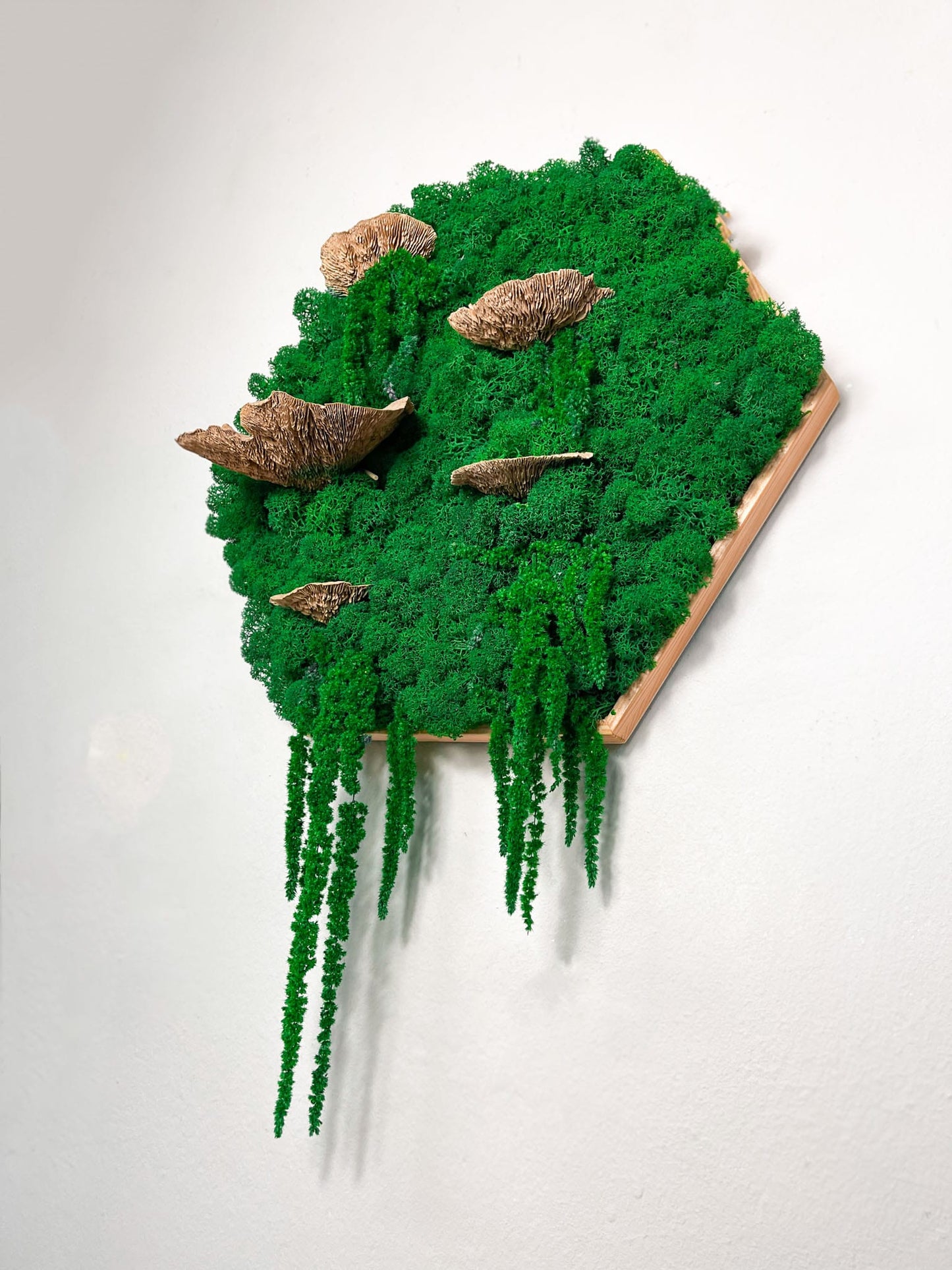 Geschenk Rahmen modern moos Moosbild Hellgrün Grün Natur Moobilder Mooswand Pflanzen Pflanzenbild Waldmoos Muttertag Geburtstag Wohnung Wand Deko Dekoration Islandmoos Rentiermoos innen grün Wald Innenraum Deko Dekoration Baum Baumschwamm Baumpilz Pilz Schwamm Wabe Hexagon Sechseck Büro Home Office Praxis Einrichtung Inneneinrichtung