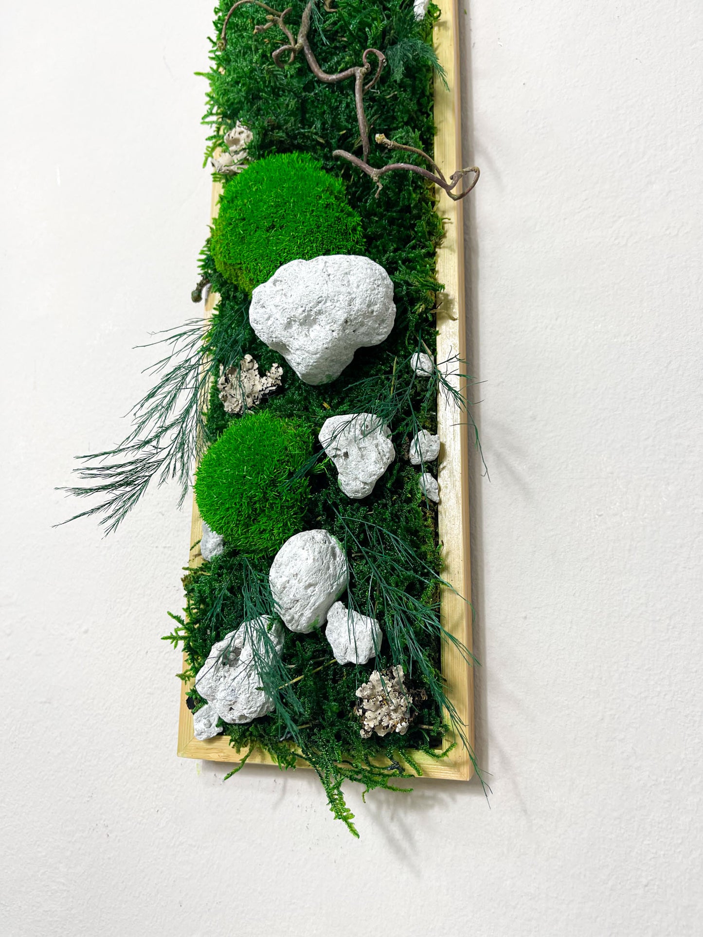 Geschenk Rahmen modern moos Moosbild Hellgrün Grün Natur Moosbilder Mooswand Pflanzen Pflanzenbild Flachmoos Waldmoos Muttertag Geburtstag Wohnung Wand Deko Dekoration Stein Steine Waldstein Baumschwamm Baumpilz Pilze Baumpilz Ast Äste Nussbaum Korkenzieher Korkenzieheräste Gedankenwunder Manufaktur Kugelmoos Hügelmoos Design Designer Wandbild Flechte Flechten biophelic grün Baumscheiben Waldmoos Gemälde Holz Holzsorten Auswahl Farben