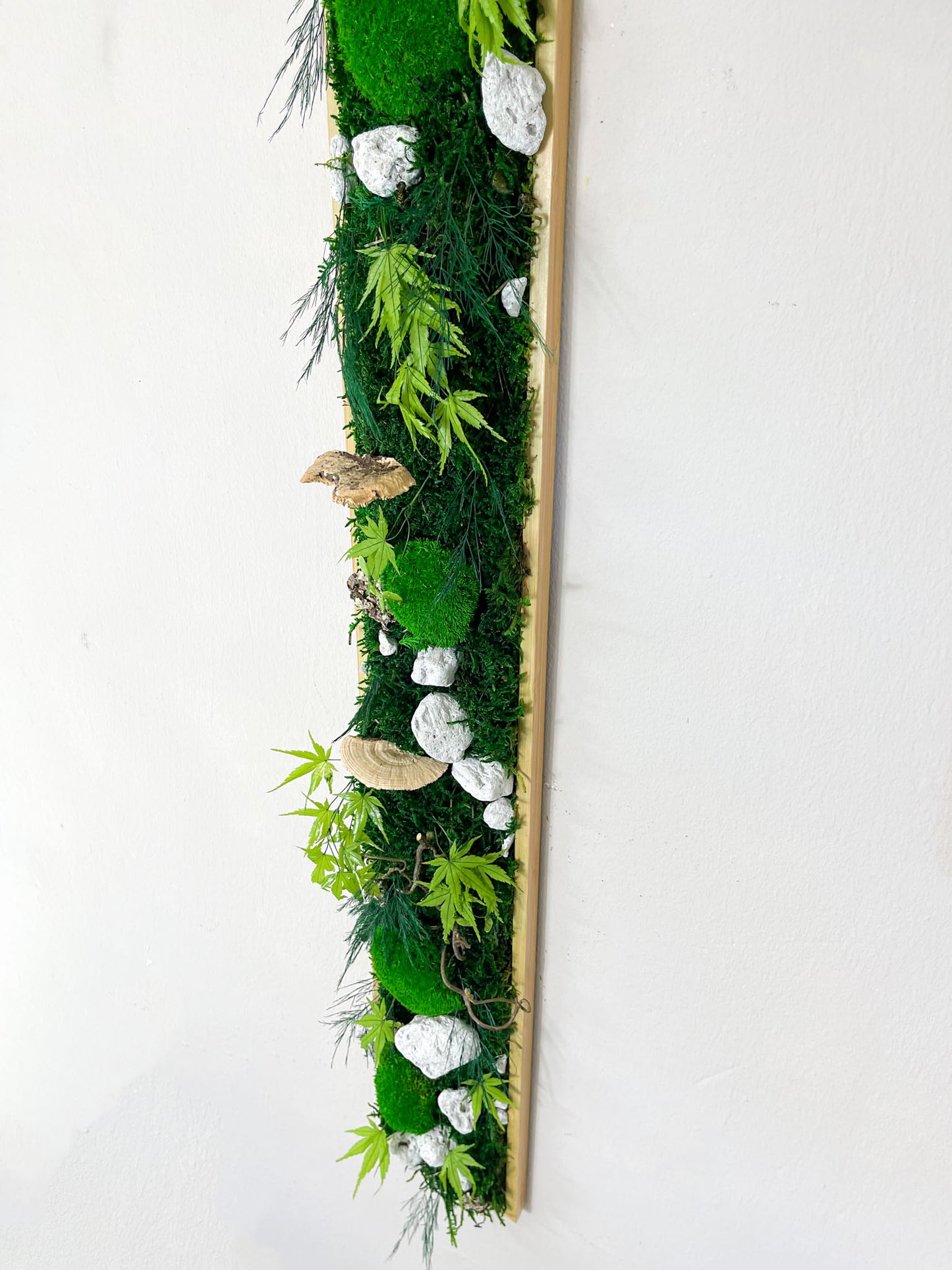 Geschenk Rahmen modern moos Moosbild Hellgrün Grün Natur Moosbilder Mooswand Pflanzen Pflanzenbild Flachmoos Waldmoos Muttertag Geburtstag Wohnung Wand Deko Dekoration Stein Steine Waldstein Baumschwamm Baumpilz Pilze Baumpilz Ast Äste Nussbaum Korkenzieher Korkenzieheräste Gedankenwunder Manufaktur Kugelmoos Hügelmoos Design Designer Wandbild Flechte Flechten biophelic grün Baumscheiben Waldmoos Gemälde Holz Holzsorten Auswahl Farben Steinpfad Waldpfad Grünpfad akustik Akustikpanelle Panelle Holzpanelle