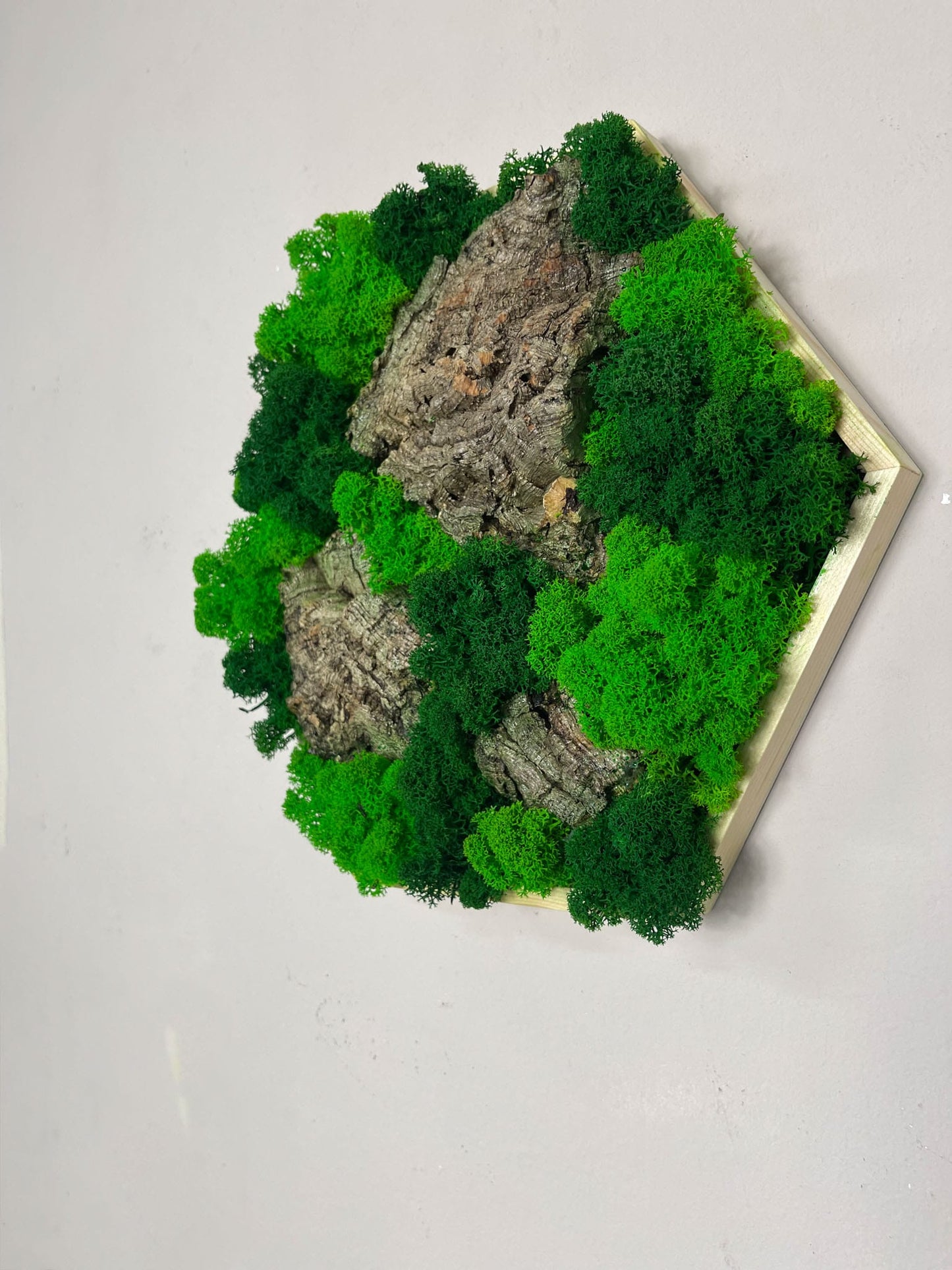 Geschenk Rahmen Hexagon Wabe Bienenwabe Waben modern Sechseck moos Moosbild Hellgrün Grün Natur Moobilder Mooswand Pflanzen Pflanzenbild Flachmoos Waldmoos Muttertag Geburtstag Wohnung Wand Deko Dekoration Islandmoos Rentiermoos Holzmoos Holzstück Kork verteilt