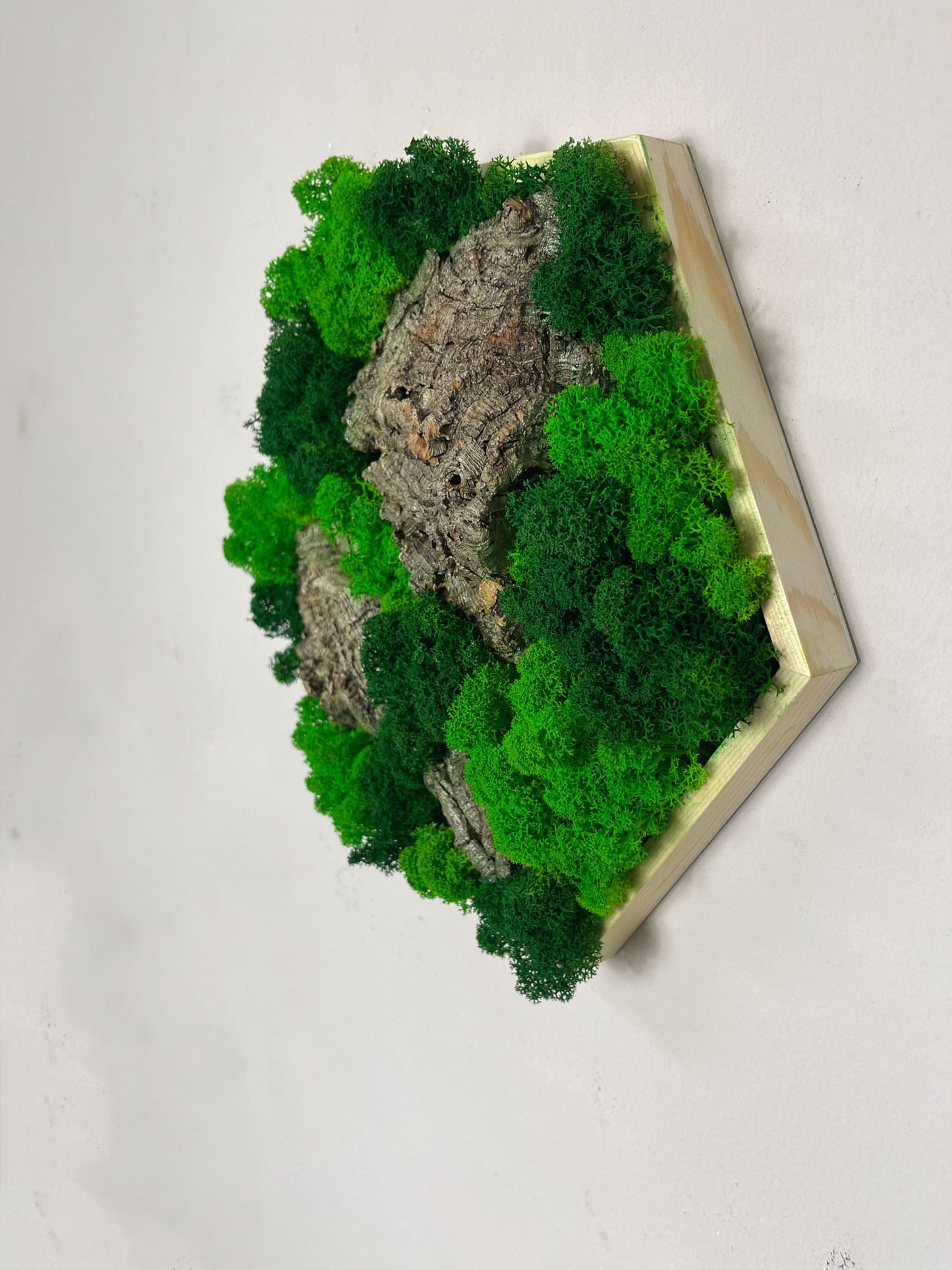 Geschenk Rahmen Hexagon Wabe Bienenwabe Waben modern Sechseck moos Moosbild Hellgrün Grün Natur Moobilder Mooswand Pflanzen Pflanzenbild Flachmoos Waldmoos Muttertag Geburtstag Wohnung Wand Deko Dekoration Islandmoos Rentiermoos Holzmoos Holzstück Korkrinde