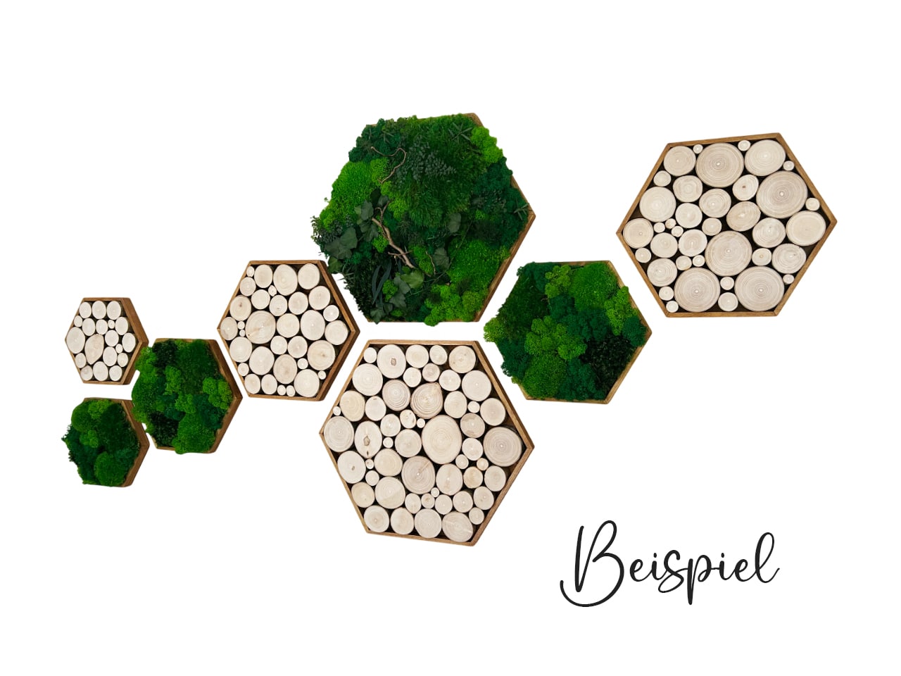 Baumscheiben Astscheiben Wanddekoration Wandpaneel Wandpaneele Deko Bild Gemälde Wandkust Wandbild Baumscheibe Baumringe Farben Bilder Landhaus Shabby Chick Baum Moosbild Hexagon modern Wabe Sechseck Mooswand Moosbilder Pflanzenbilder Pflanzenbild Ast