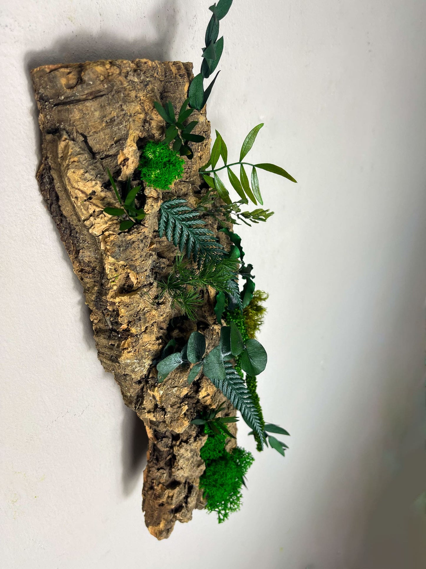 Moos Moss Objekt Skulptur Sculptur Holz Wurzel Wurzelholz Deko Dekoration Pflanzen konserviert biophelic Treibholz Teak Wanddeko Unikat Baumrinde Rinde Kork Farn Farnblatt