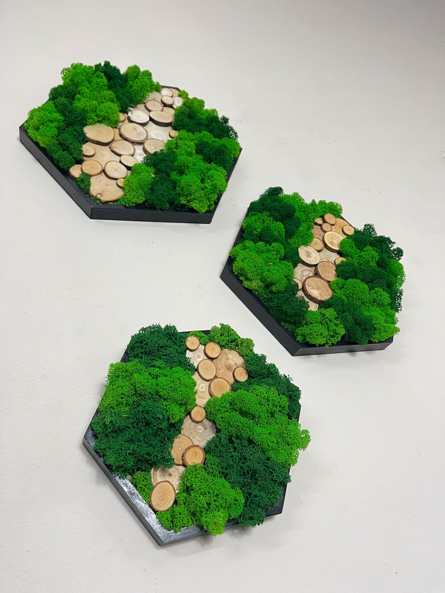 Geschenk Pusteblume Rahmen Rechteck Islandmoos moos Moosbild Rentiermoos Hellgrün Grün Natur Bollenmoos Moobilder Mooswand Pflanzen Pflanzenbild Baumscheibe Astscheibe Ast Baum Holzscheibe diy