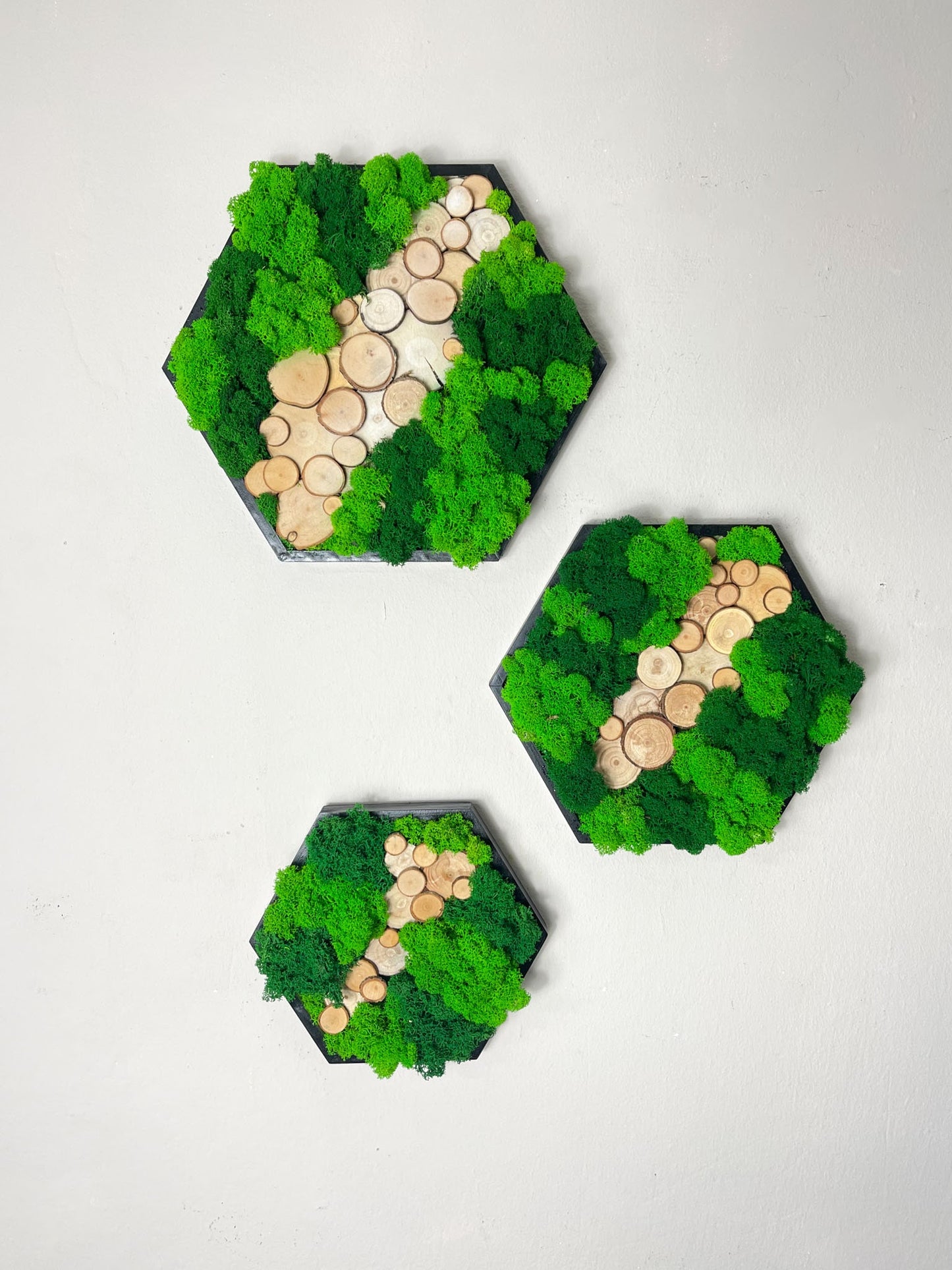 Baumscheiben Rustikal modern Geschenk Pusteblume Rahmen Rechteck Islandmoos moos Moosbild Rentiermoos Hellgrün Grün Natur Bollenmoos Moobilder Mooswand Pflanzen Pflanzenbild Pusteblume Pusteblumen Löwenzahn