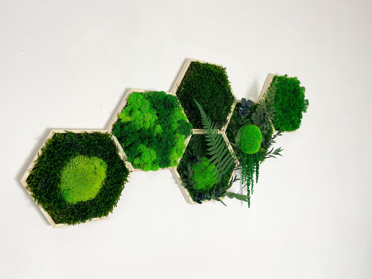 Geschenk Pusteblume Rahmen Rechteck Islandmoos moos Moosbild Rentiermoos Hellgrün Grün Natur Bollenmoos Moobilder Mooswand Pflanzen Pflanzenbild Pusteblume Pusteblumen Löwenzahn Flachmoos Waldmoos Muttertag Geburtstag Wohnung Dschungel Kombination