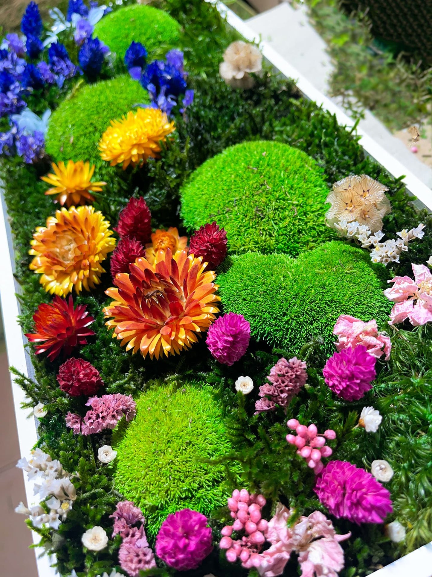 Geschenk Pusteblume Rahmen Rechteck Islandmoos moos Moosbild Rentiermoos Hellgrün Grün Natur Bollenmoos Moobilder Mooswand Pflanzen Pflanzenbild Pusteblume Pusteblumen Löwenzahn Flachmoos Waldmoos Muttertag Geburtstag Wohnung Dschungel Blumen