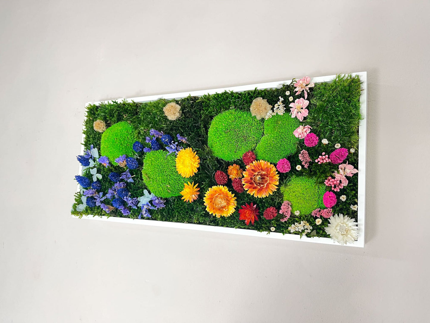Geschenk Pusteblume Rahmen Rechteck Islandmoos moos Moosbild Rentiermoos Hellgrün Grün Natur Bollenmoos Moobilder Mooswand Pflanzen Pflanzenbild Pusteblume Pusteblumen Löwenzahn Flachmoos Waldmoos Muttertag Geburtstag Wohnung Dschungel Blumenparade
