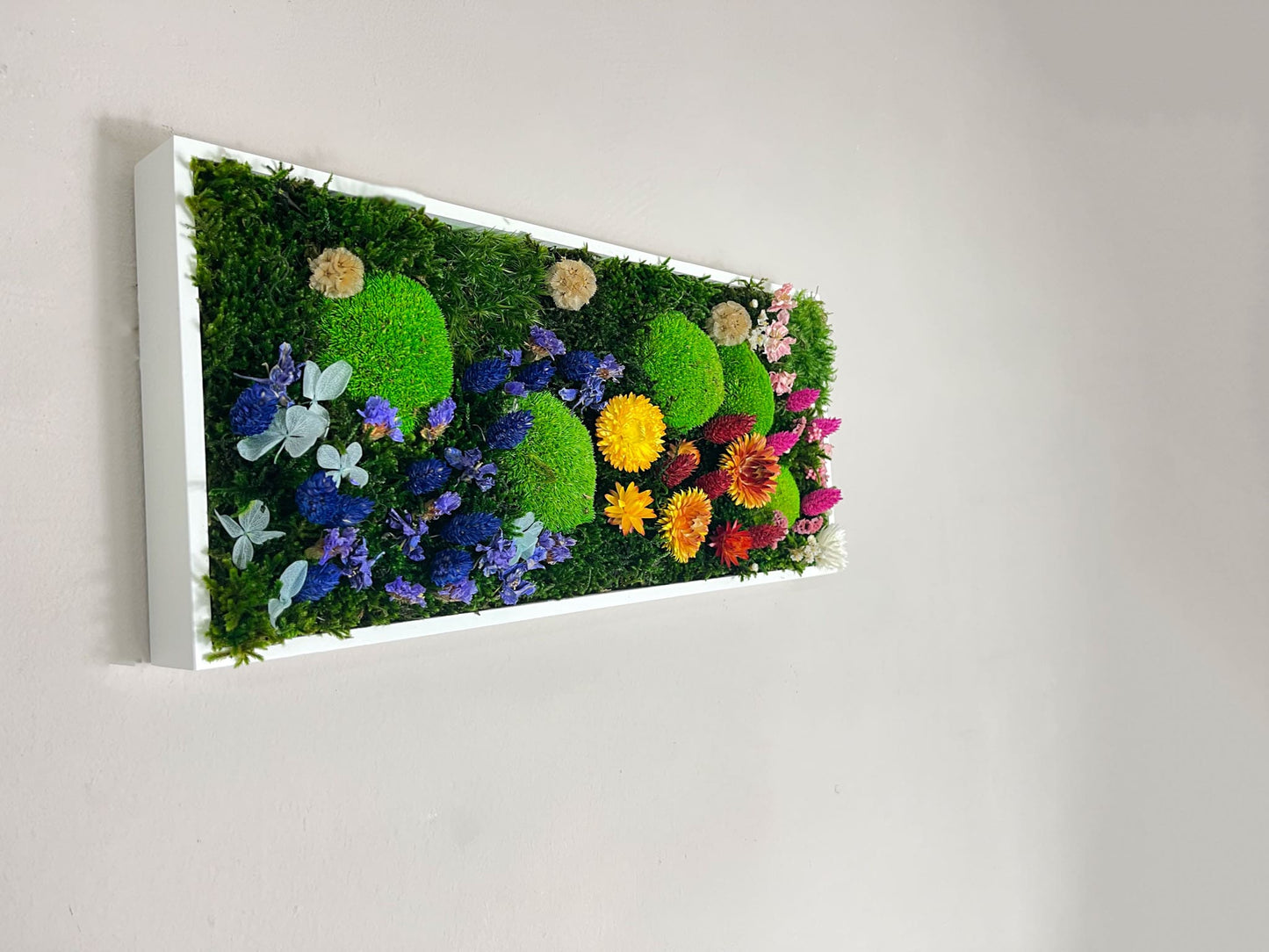 Geschenk Pusteblume Rahmen Rechteck Islandmoos moos Moosbild Rentiermoos Hellgrün Grün Natur Bollenmoos Moobilder Mooswand Pflanzen Pflanzenbild Pusteblume Pusteblumen Löwenzahn Flachmoos Waldmoos Muttertag Geburtstag Wohnung Dschungel Regenbogen