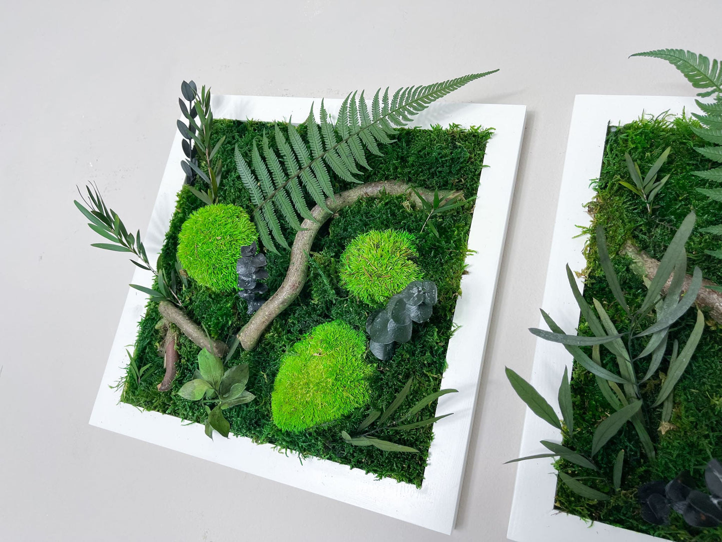 Geschenk Pusteblume Rahmen Rechteck Islandmoos moos Moosbild Rentiermoos Hellgrün Grün Natur Bollenmoos Moobilder Mooswand Pflanzen Pflanzenbild Pusteblume Pusteblumen Löwenzahn Flachmoos Waldmoos Muttertag Geburtstag Wohnung Dschungel Zweige Zweige