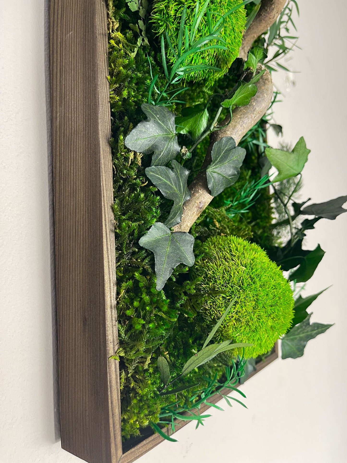 Geschenk Pusteblume Rahmen Rechteck Islandmoos moos Moosbild Rentiermoos Hellgrün Grün Natur Bollenmoos Moobilder Mooswand Pflanzen Pflanzenbild Pusteblume Pusteblumen Löwenzahn Flachmoos Waldmoos Muttertag Geburtstag Wohnung Efeuwald