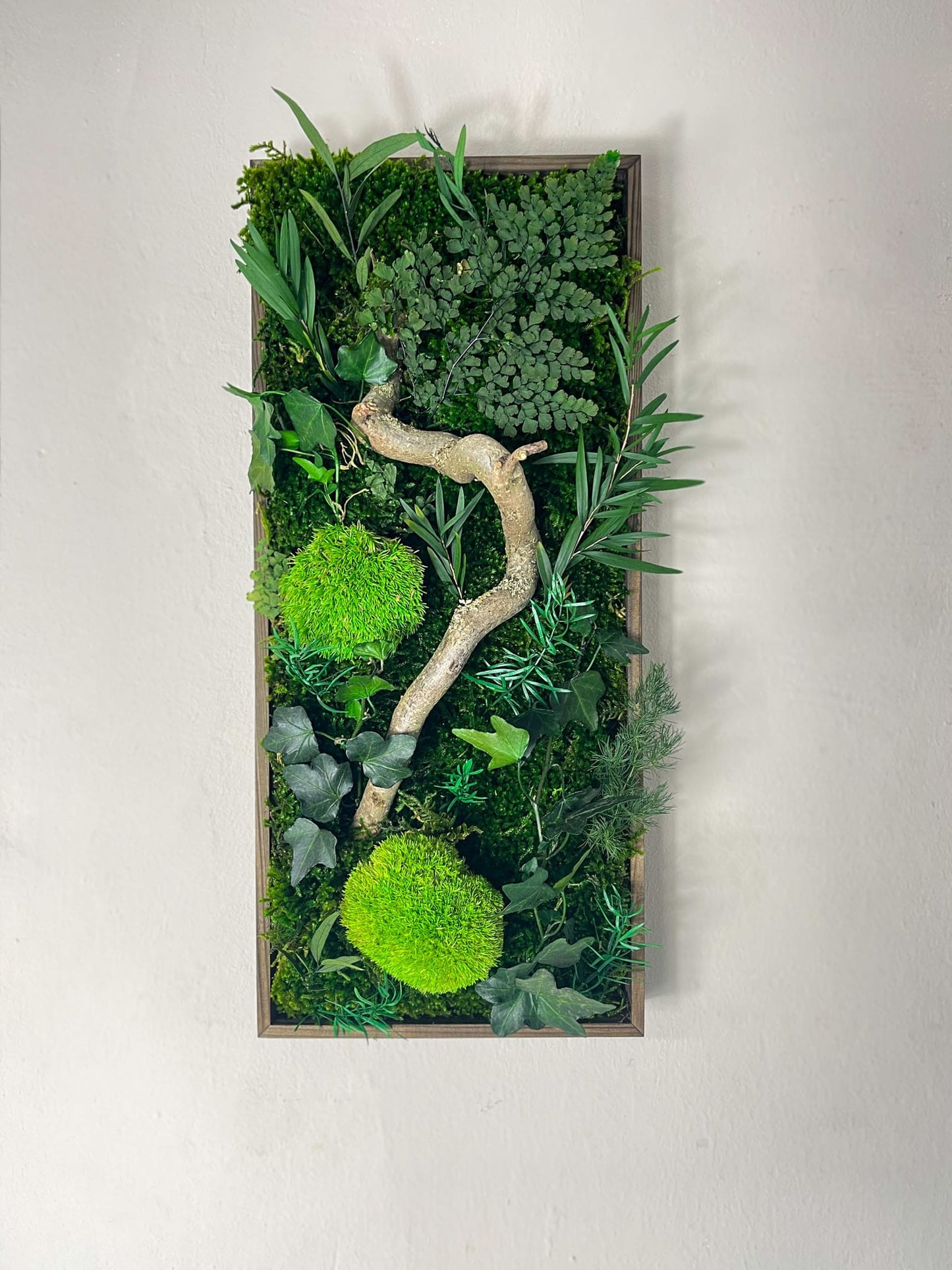 Geschenk Pusteblume Rahmen Rechteck Islandmoos moos Moosbild Rentiermoos Hellgrün Grün Natur Bollenmoos Moobilder Mooswand Pflanzen Pflanzenbild Pusteblume Pusteblumen Löwenzahn Flachmoos Waldmoos Muttertag Geburtstag Wohnung Efeuranke