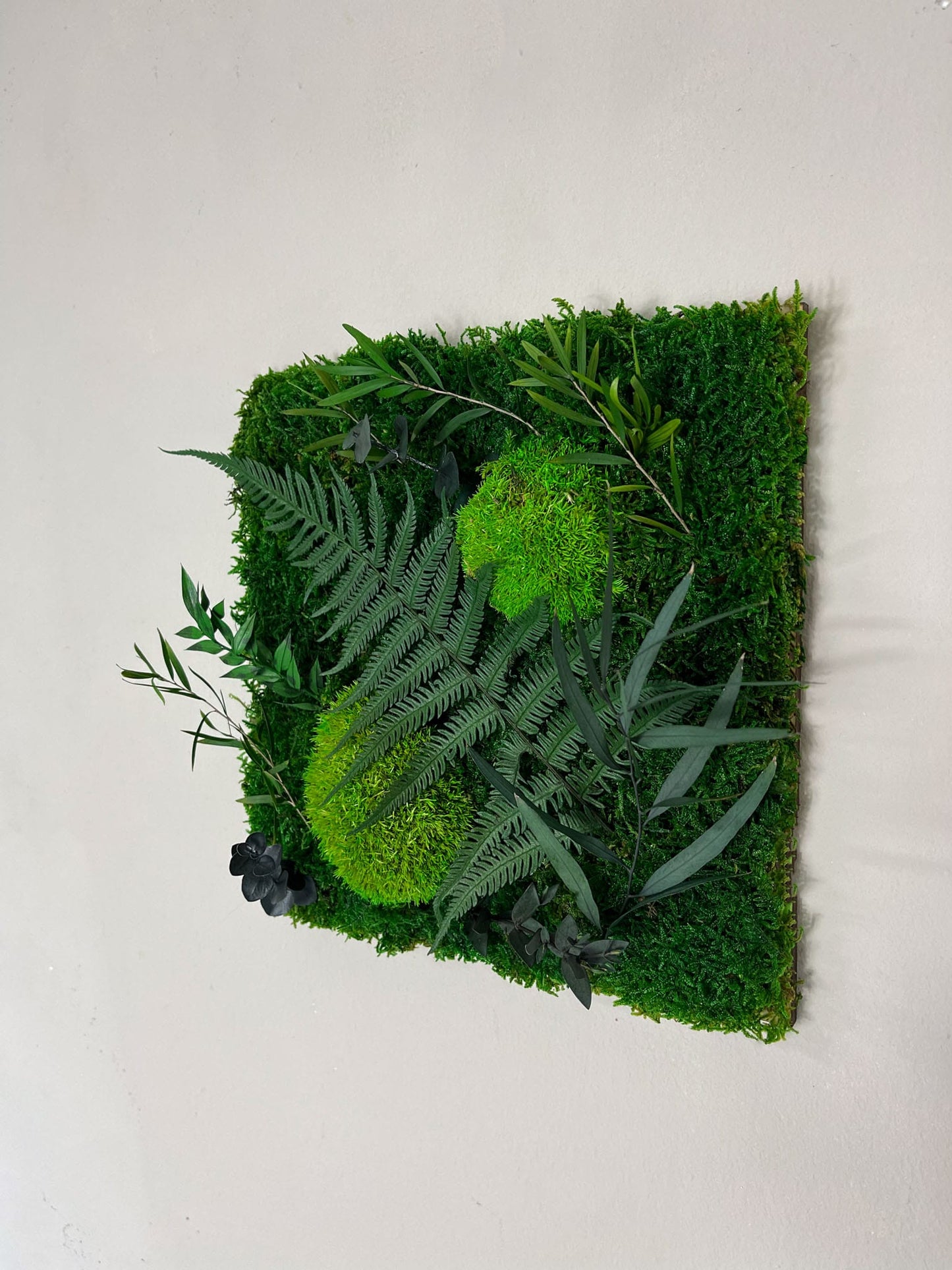 Geschenk Rahmen Rechteck Islandmoos moos Moosbild Rentiermoos Hellgrün Grün Natur Bollenmoos Moobilder Mooswand Pflanzen Pflanzenbild Flachmoos Waldmoos Muttertag Geburtstag Wohnung Dschungel Mooskugel