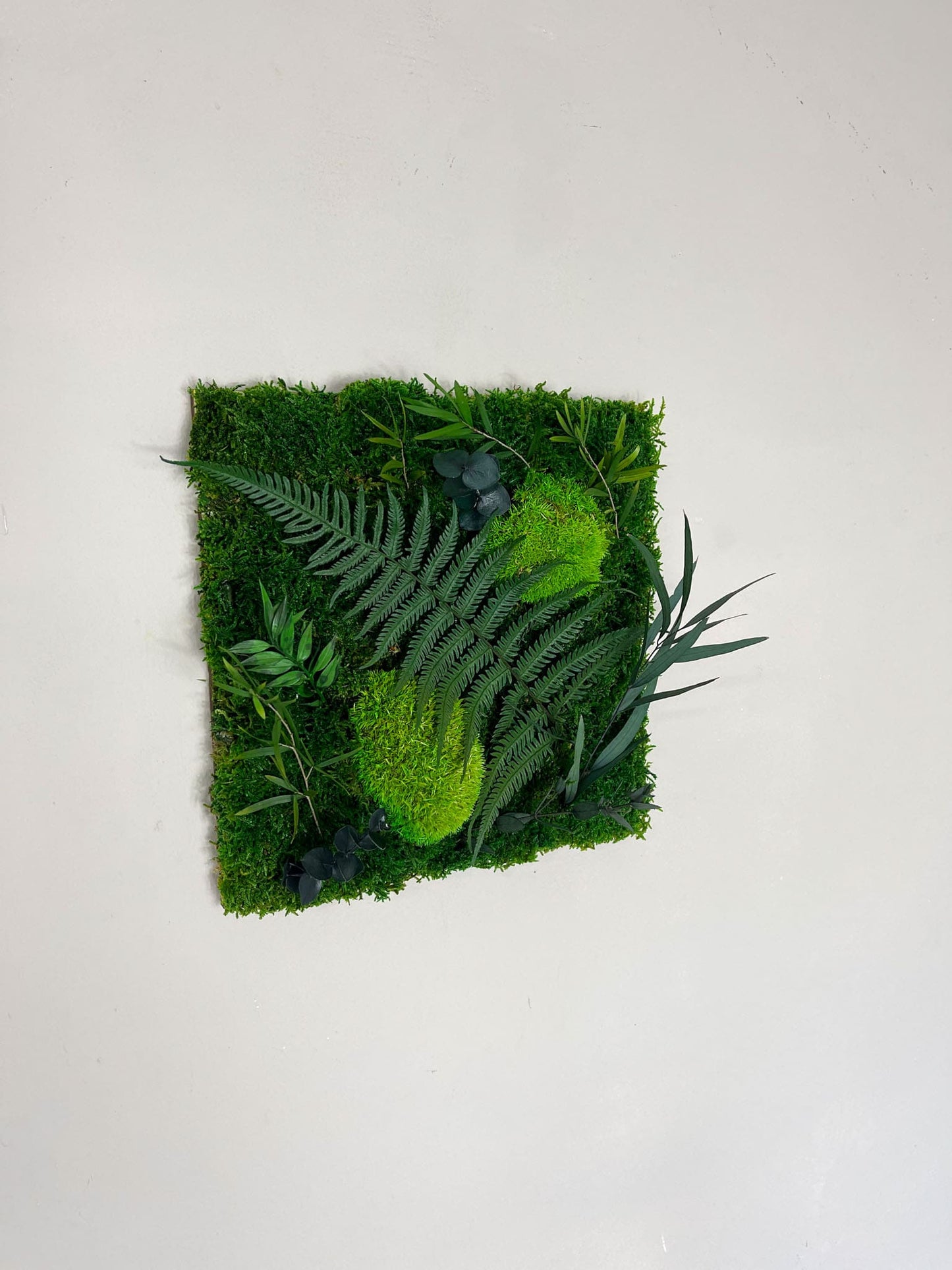 Geschenk Rahmen Rechteck Islandmoos moos Moosbild Rentiermoos Hellgrün Grün Natur Bollenmoos Moobilder Mooswand Pflanzen Pflanzenbild Flachmoos Waldmoos Muttertag Geburtstag Wohnung Dschungel Farn