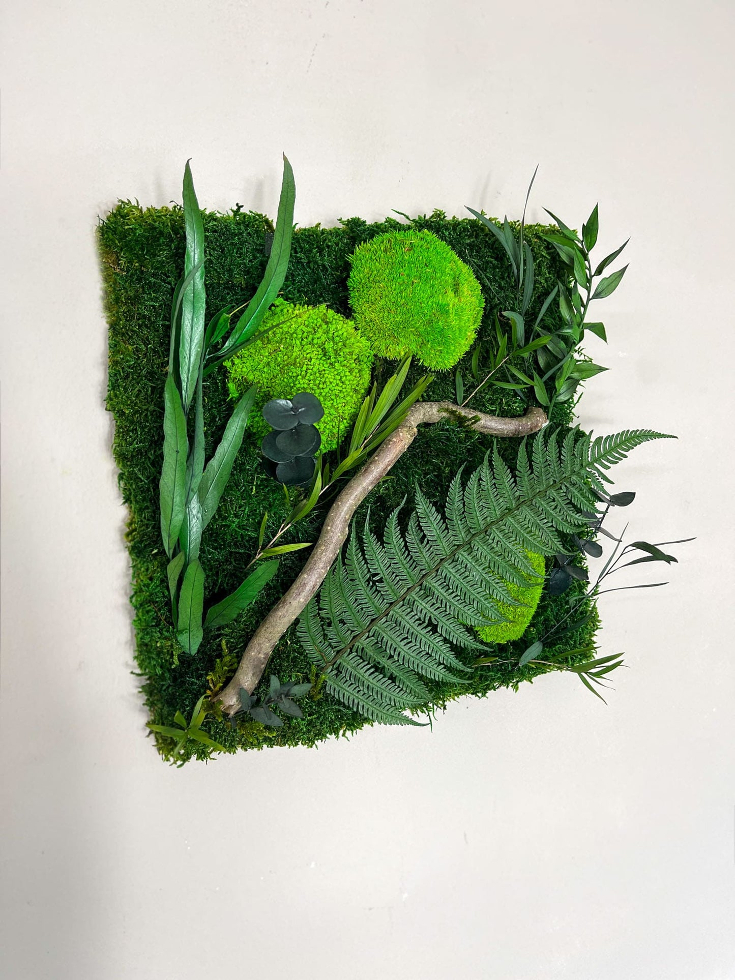 Geschenk Rahmen Rechteck Islandmoos moos Moosbild Rentiermoos Hellgrün Grün Natur Bollenmoos Moobilder Mooswand Pflanzen Pflanzenbild Flachmoos Waldmoos Muttertag Geburtstag Wohnung Dschungel Holzplatte