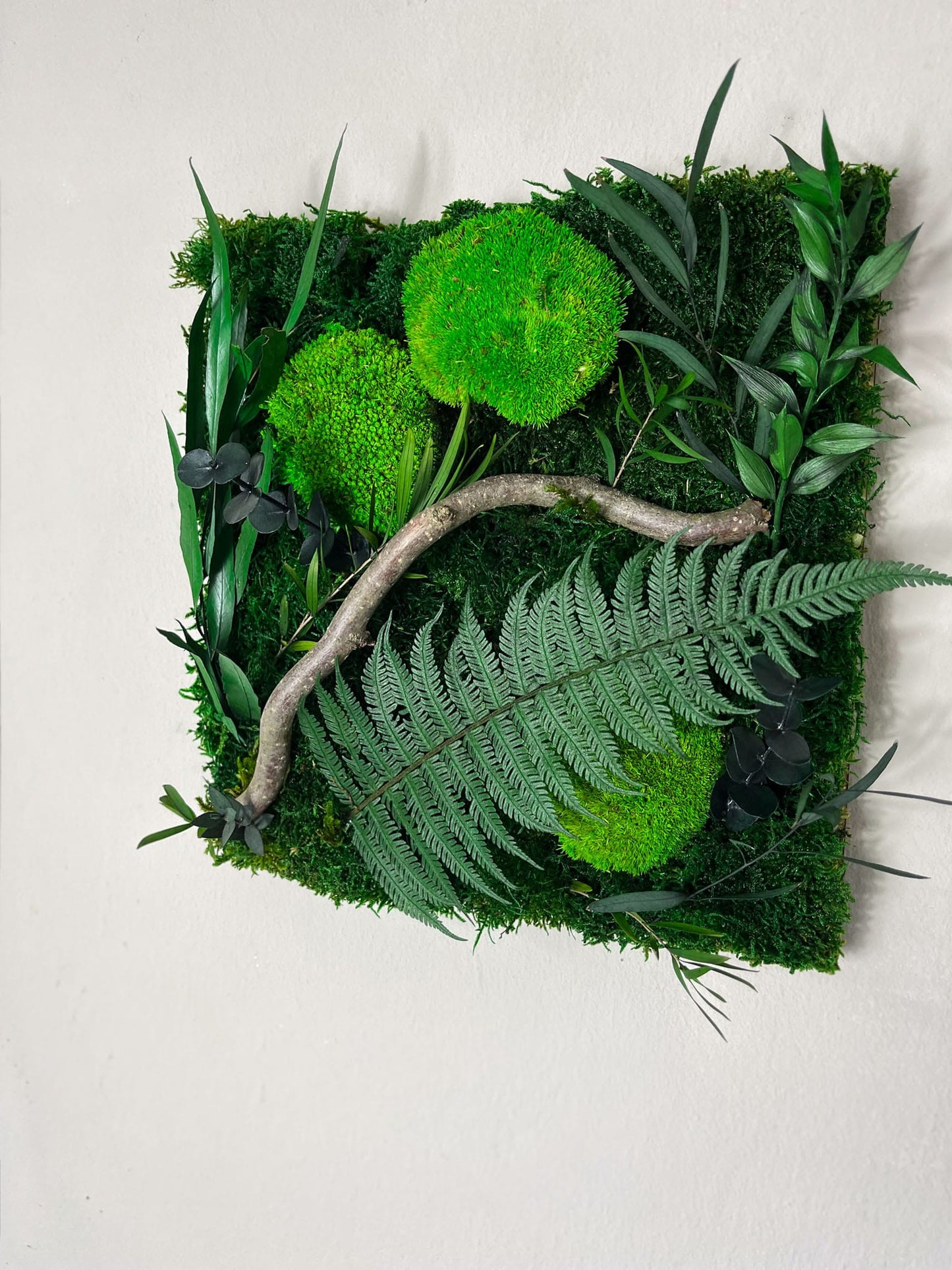 Geschenk Rahmen Rechteck Islandmoos moos Moosbild Rentiermoos Hellgrün Grün Natur Bollenmoos Moobilder Mooswand Pflanzen Pflanzenbild Flachmoos Waldmoos Muttertag Geburtstag Wohnung Dschungel Farn