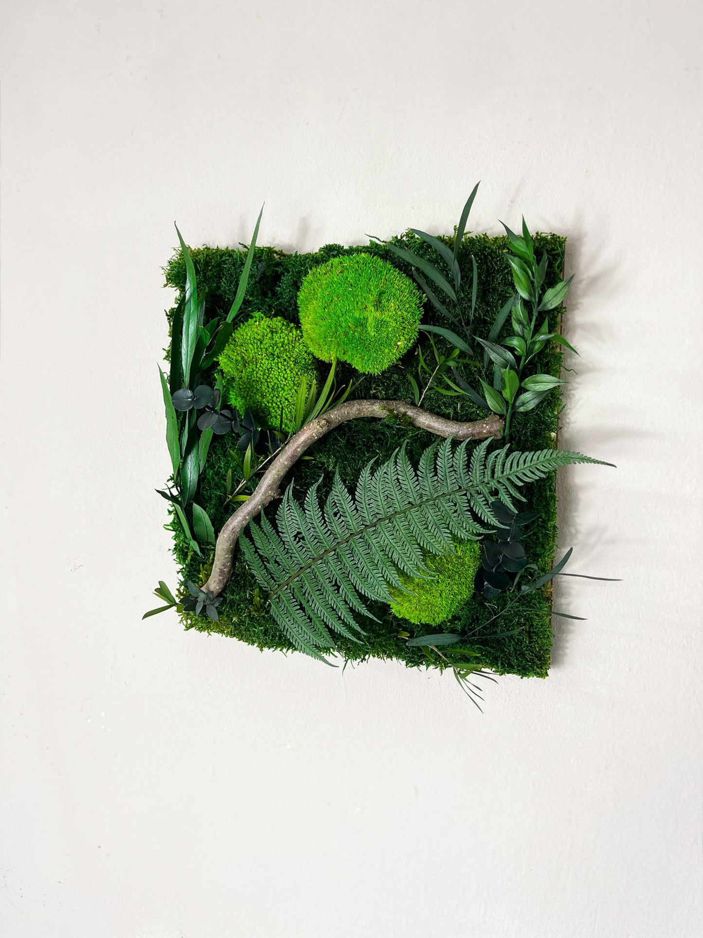 Geschenk Rahmen Rechteck Islandmoos moos Moosbild Rentiermoos Hellgrün Grün Natur Bollenmoos Moobilder Mooswand Pflanzen Pflanzenbild Flachmoos Waldmoos Muttertag Geburtstag Wohnung Dschungel Rahmenlos