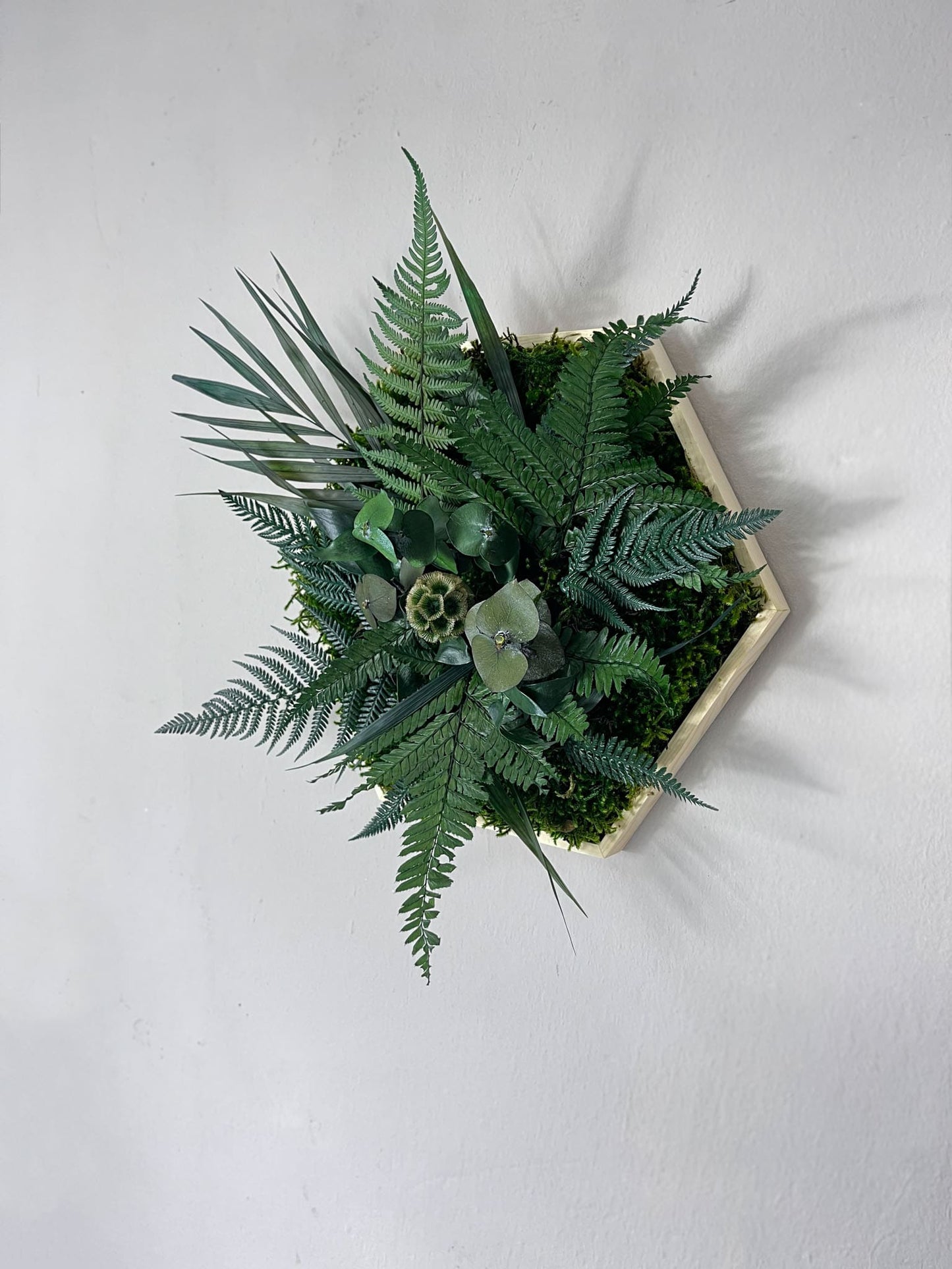 Geschenk Rahmen Rechteck moos Moosbild Hellgrün Grün Natur Bollenmoos Moobilder Mooswand Pflanzen Pflanzenbild Flachmoos Waldmoos Muttertag Geburtstag Wohnung Dschungel Dschungelmoos Dschungelblume