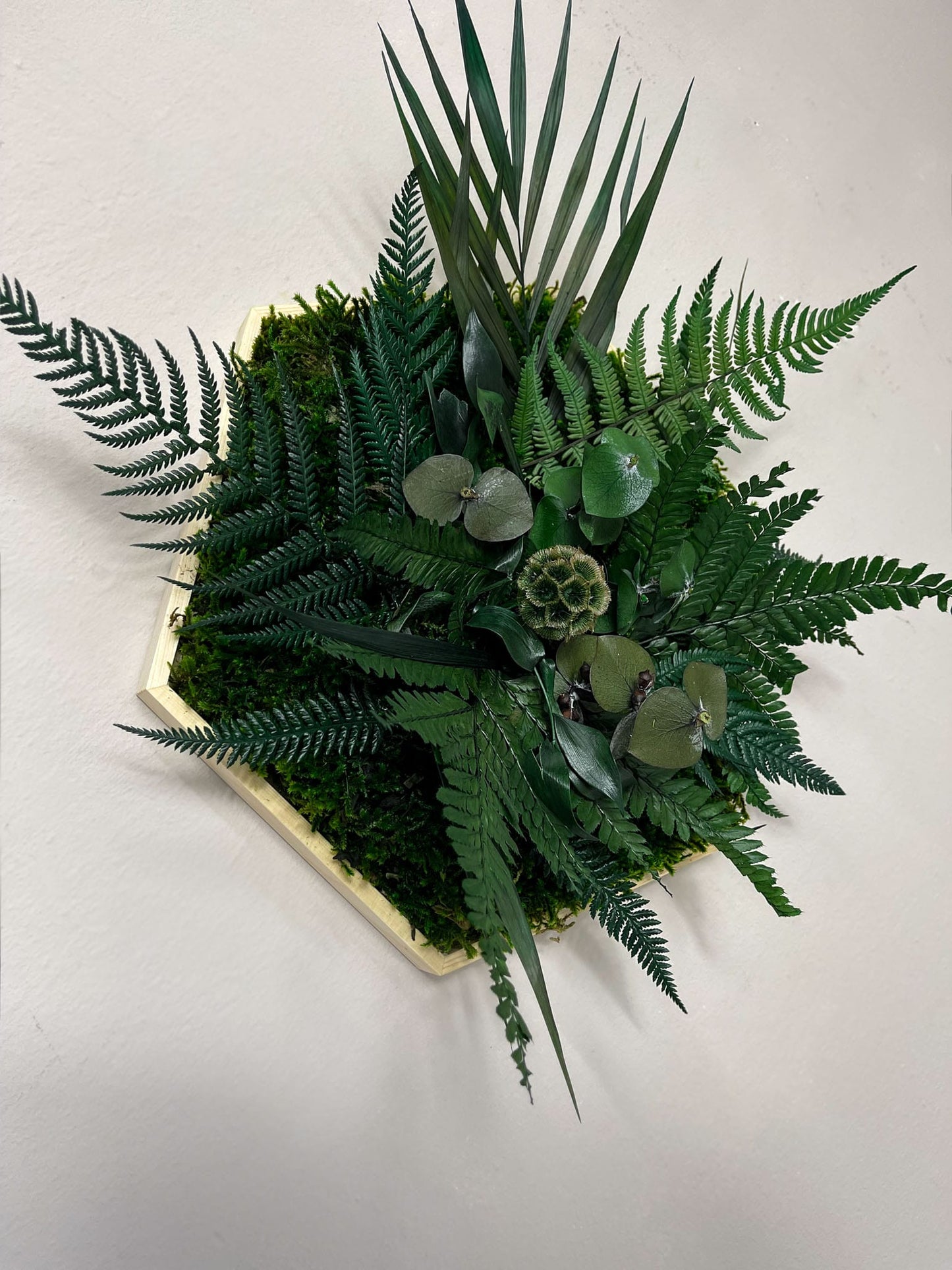 Geschenk Rahmen Rechteck moos Moosbild Hellgrün Grün Natur Bollenmoos Moobilder Mooswand Pflanzen Pflanzenbild Flachmoos Waldmoos Muttertag Geburtstag Wohnung Dschungel Farnblatt