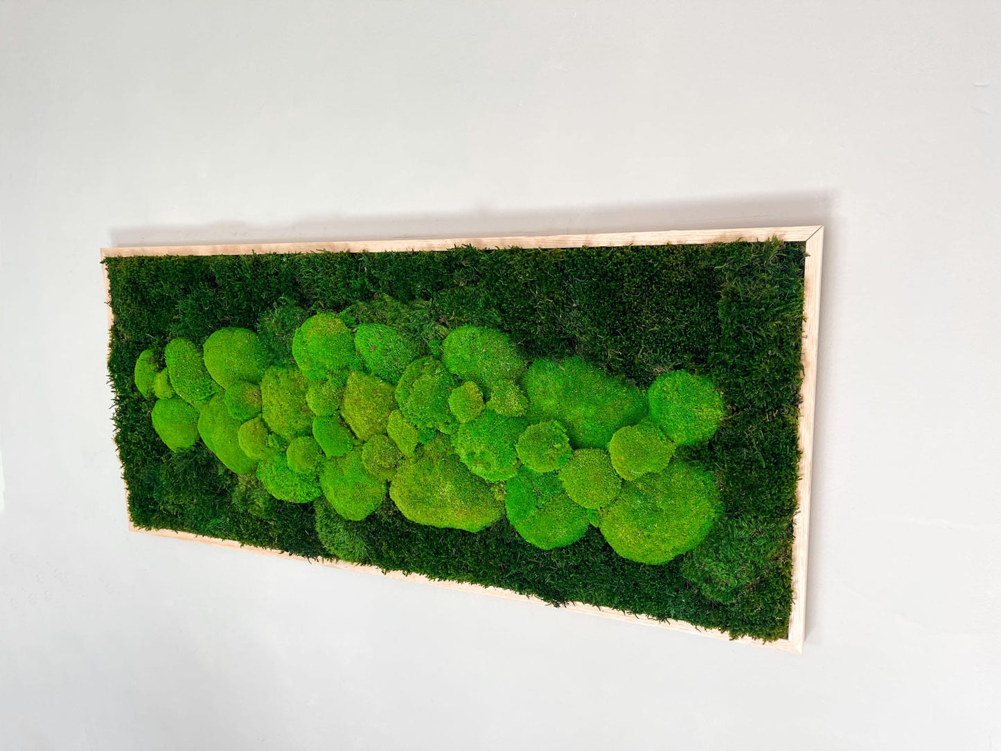 Geschenk Rahmen Rechteck moos Moosbild Hellgrün Grün Natur Bollenmoos Moobilder Mooswand Pflanzen Pflanzenbild Flachmoos Waldmoos Muttertag Geburtstag Wohnung Wandgarten