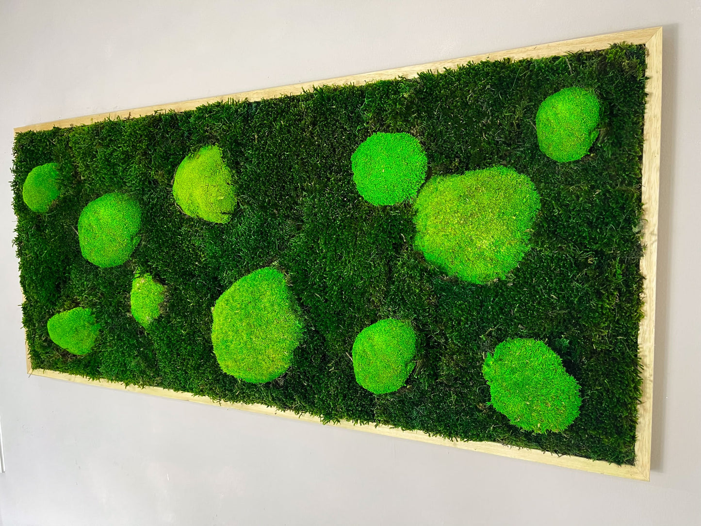 Geschenk Rahmen Rechteck moos Moosbild Hellgrün Grün Natur Bollenmoos Moobilder Mooswand Pflanzen Pflanzenbild Flachmoos Waldmoos Muttertag Geburtstag Wohnung Dschungel Waldmoos rechteckig