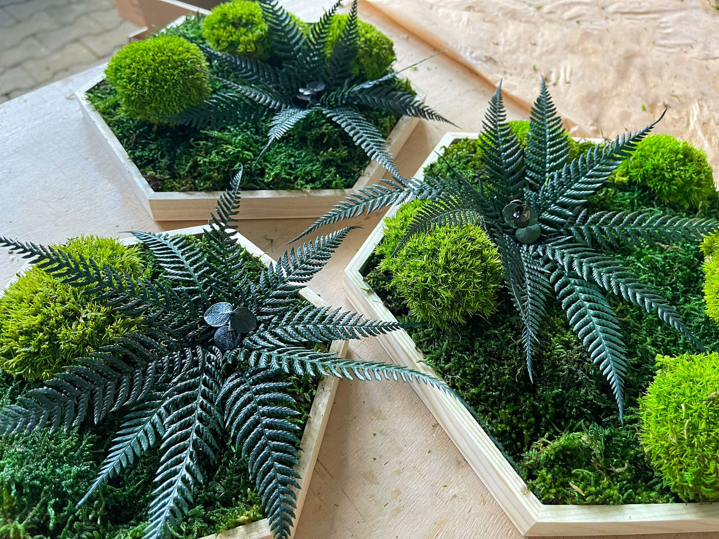 Geschenk Rahmen Rechteck Islandmoos moos Moosbild Rentiermoos Hellgrün Grün Natur Bollenmoos Moobilder Mooswand Pflanzen Pflanzenbild Flachmoos Waldmoos Muttertag Geburtstag Wohnung Dschungel Dschungelblume